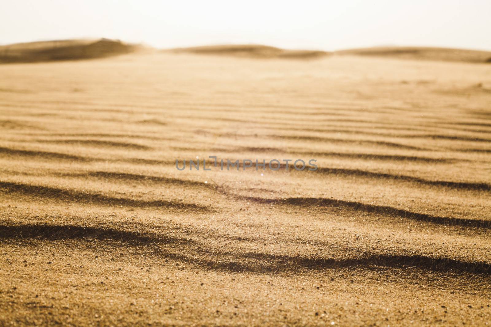 Surface level shot of the desert and the wind pattern on the sand by XiXinXing