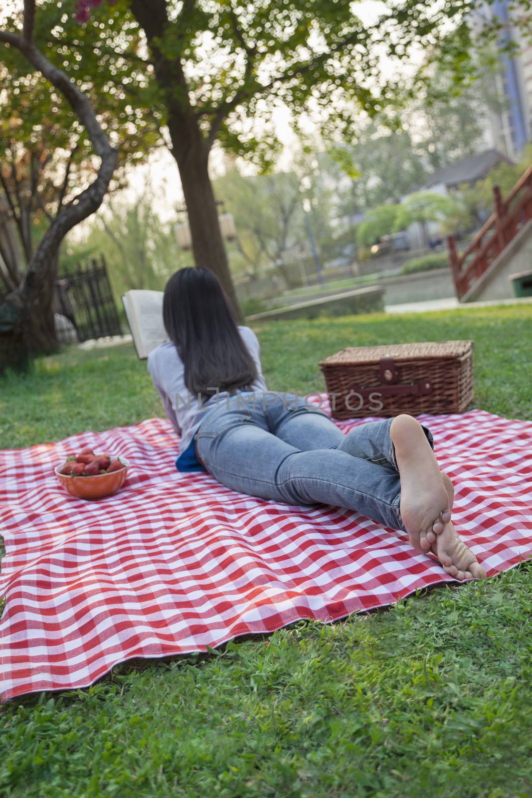 Young woman lying on her stomach on a checkered blanket and reading in the park, having a picnic by XiXinXing