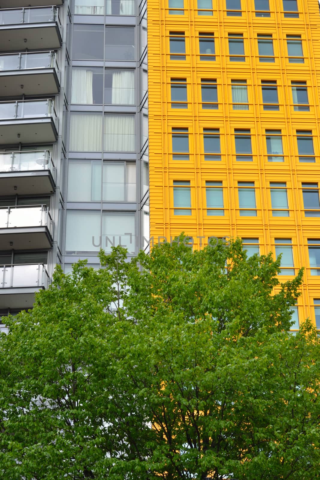 Bright Yellow building with tree
