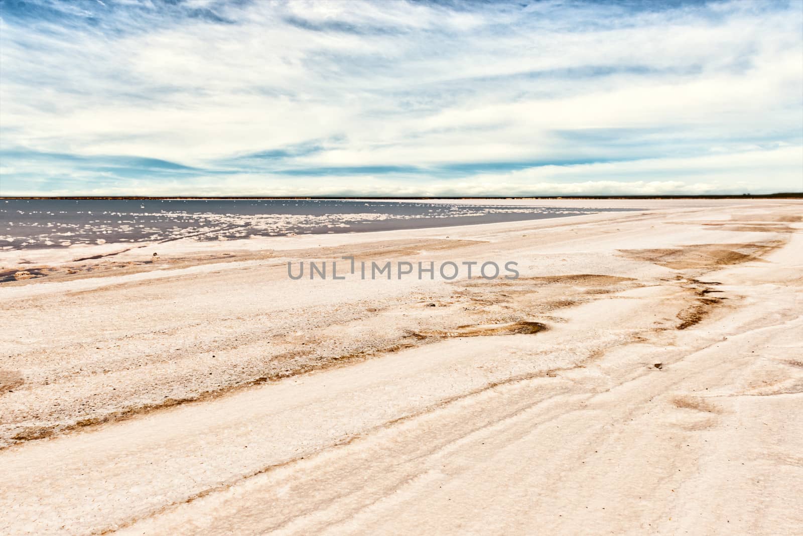 Salty shoreline on the bay Sivash, Crimea, Ukraine