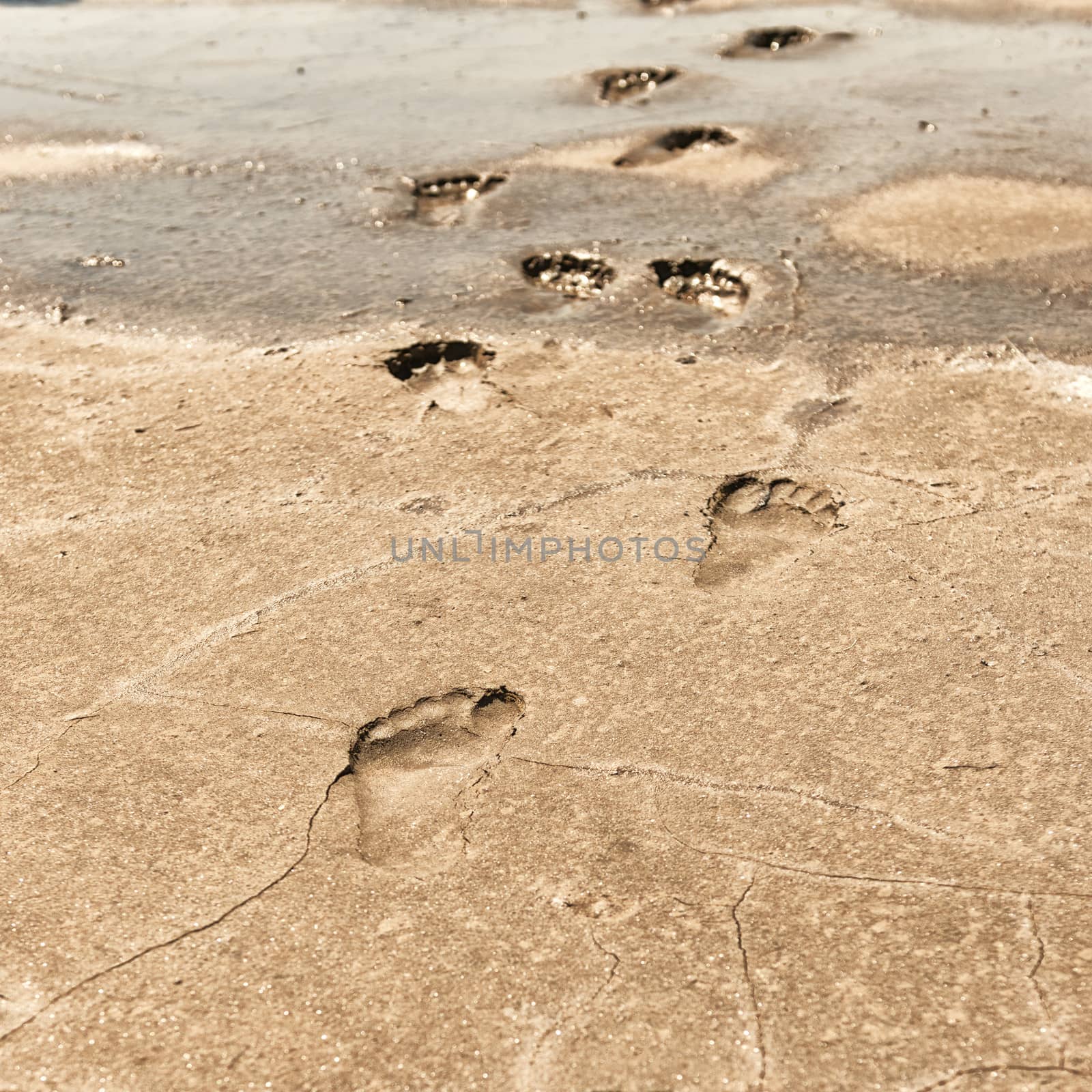 footprints in the sand on a beach by Emevil