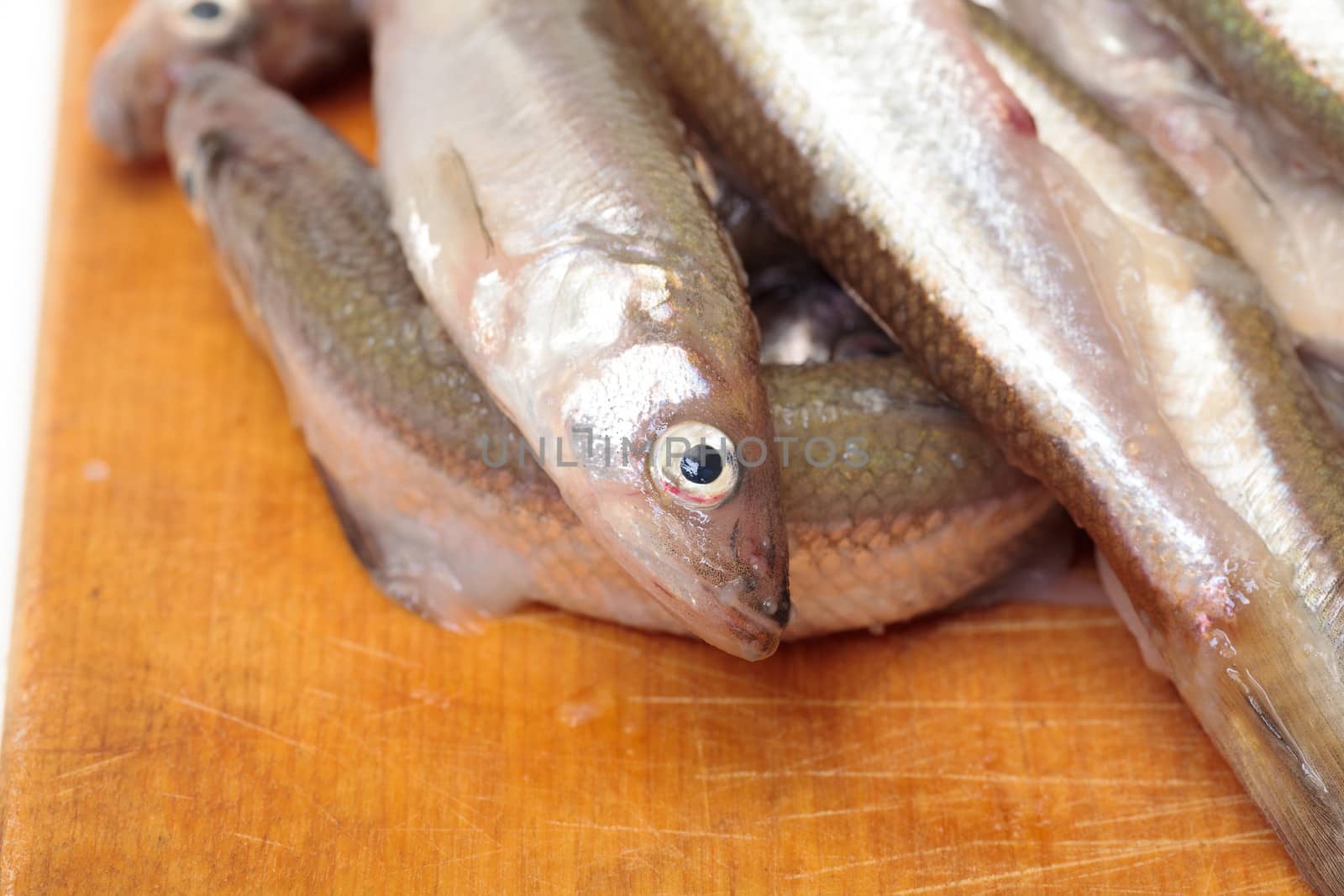 Fresh smelts fish on wooden cutting board