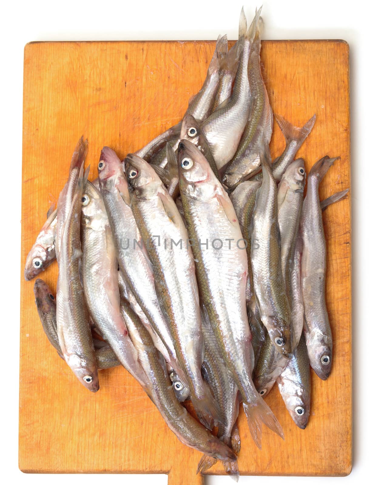 Fresh smelts fish on wooden cutting board