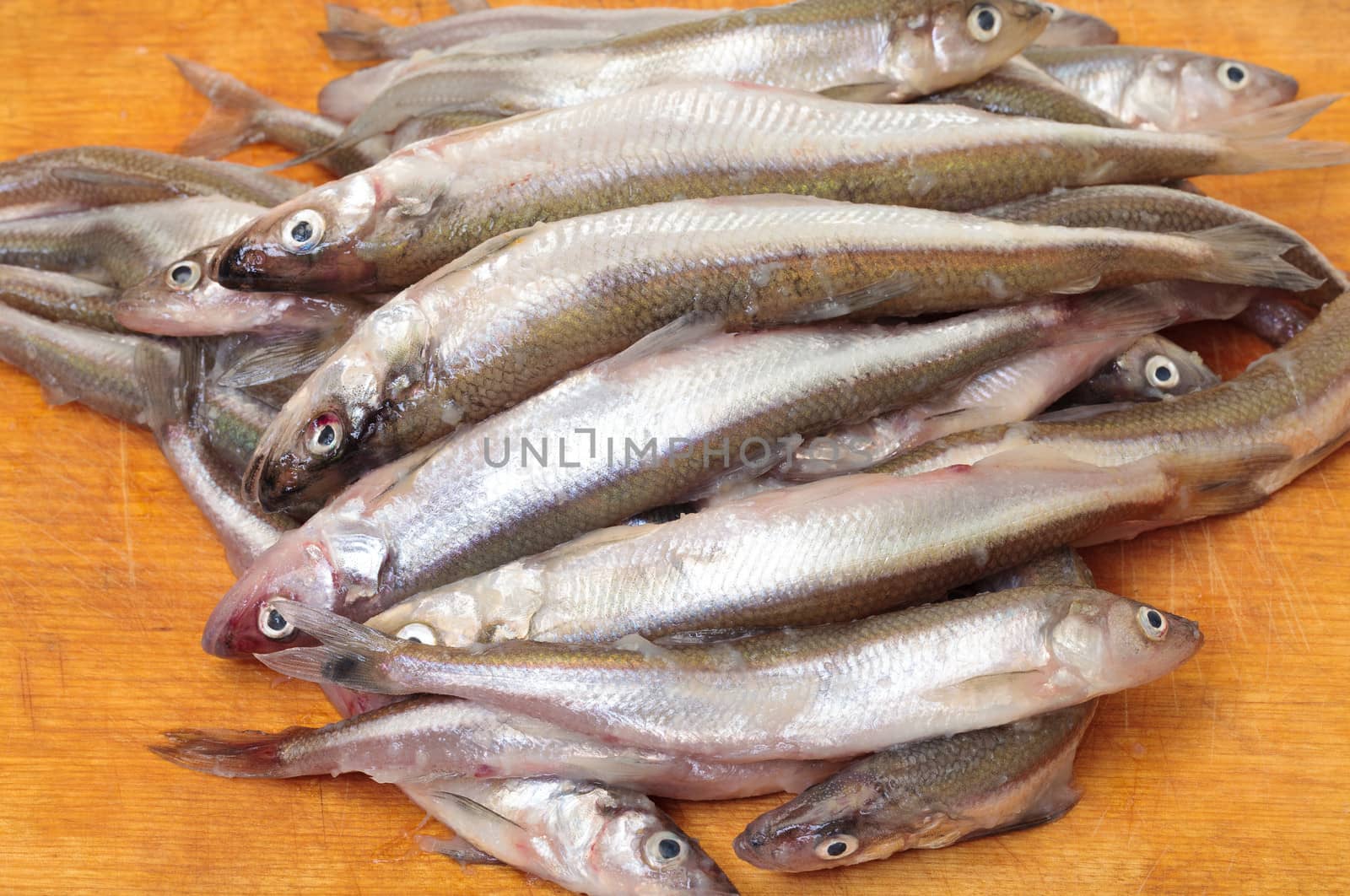 Fresh smelts fish on wooden cutting board