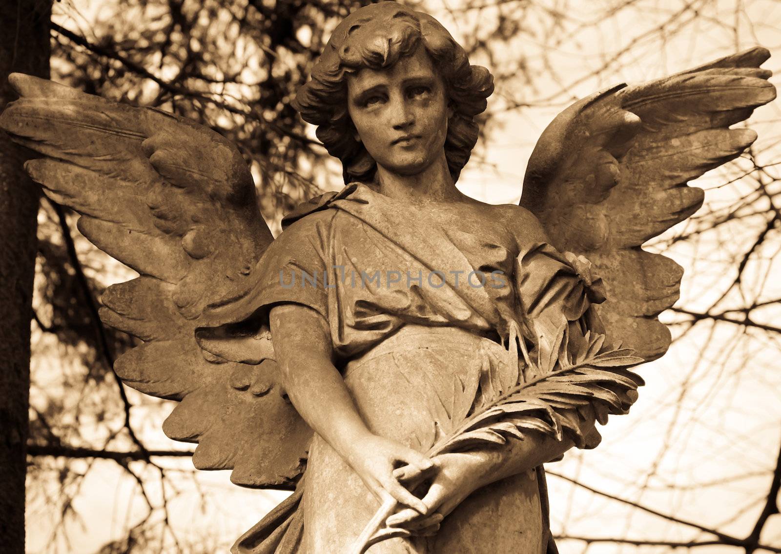 Angel statue in sepia