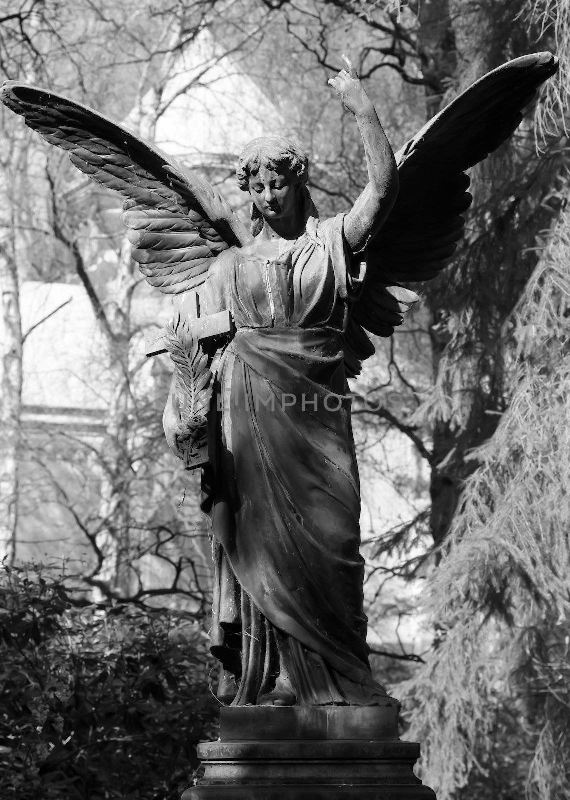 Old Angel statue in B/W by FotoFrank
