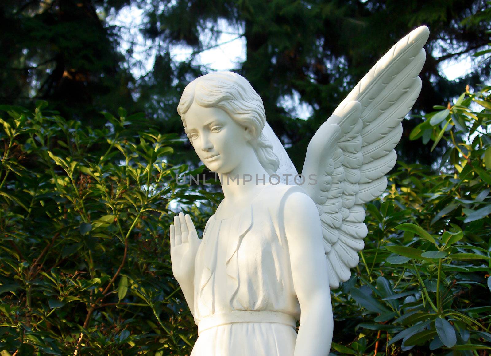 white Angel Statue by FotoFrank