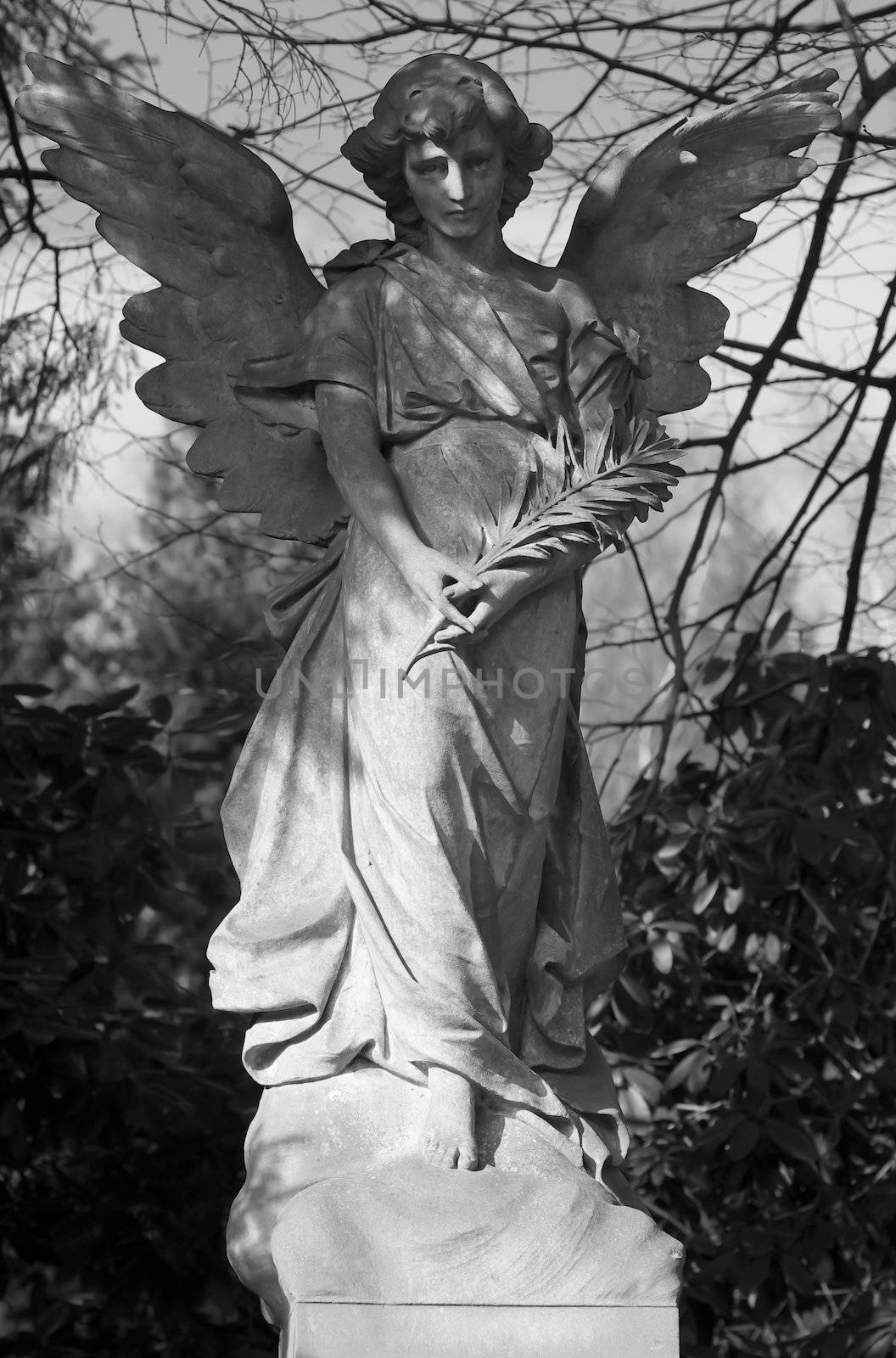 Angel statue in B/W