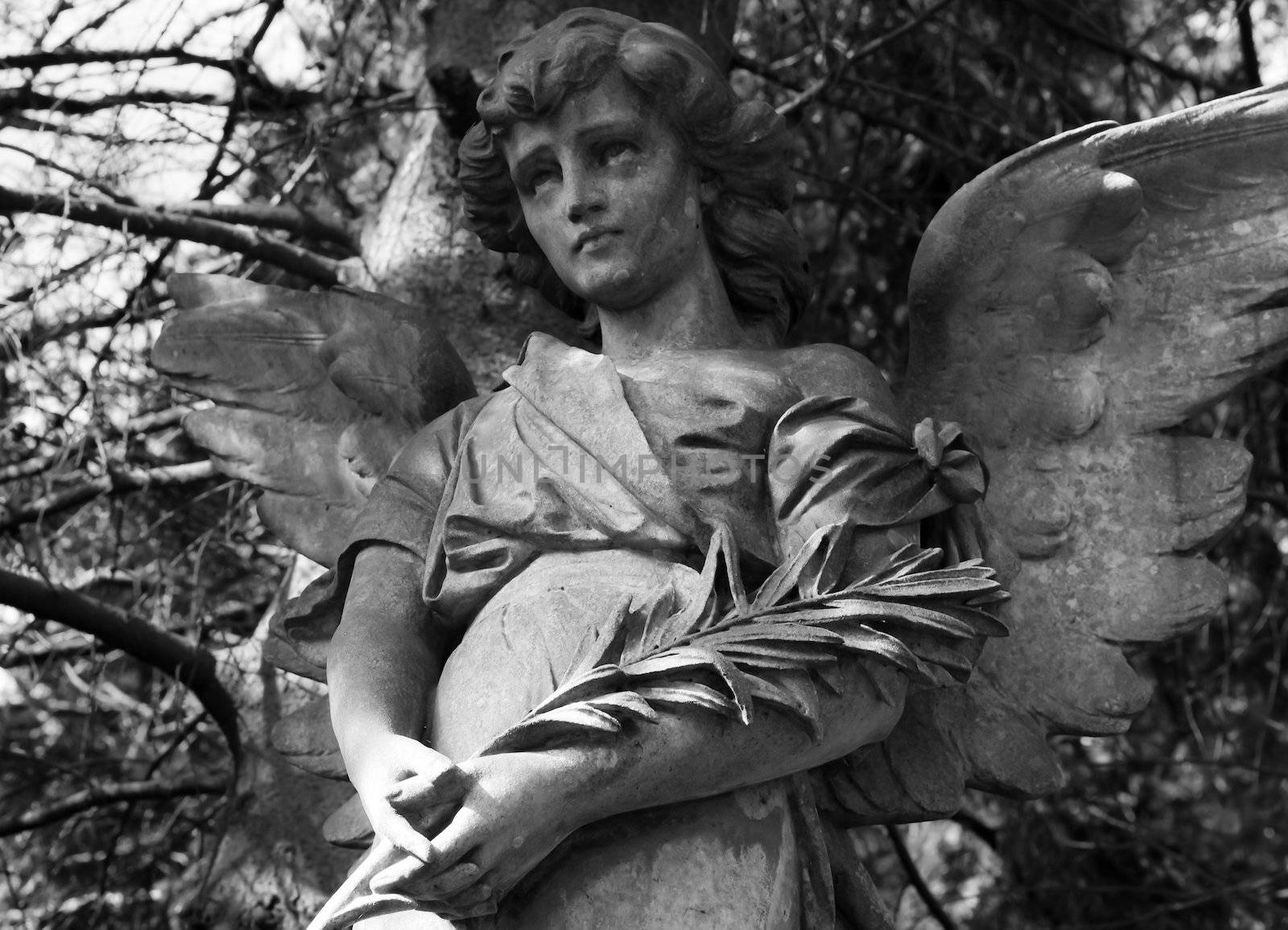 Angel statue in B/W