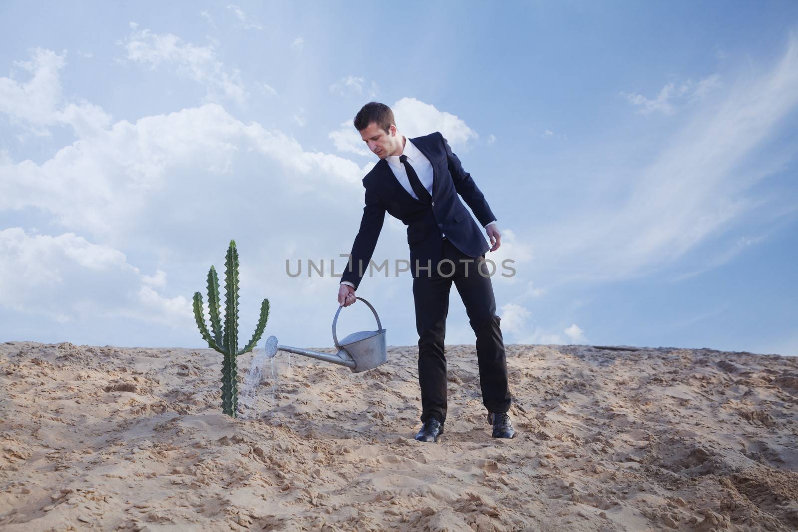 Young businessman watering a cactus in the desert by XiXinXing