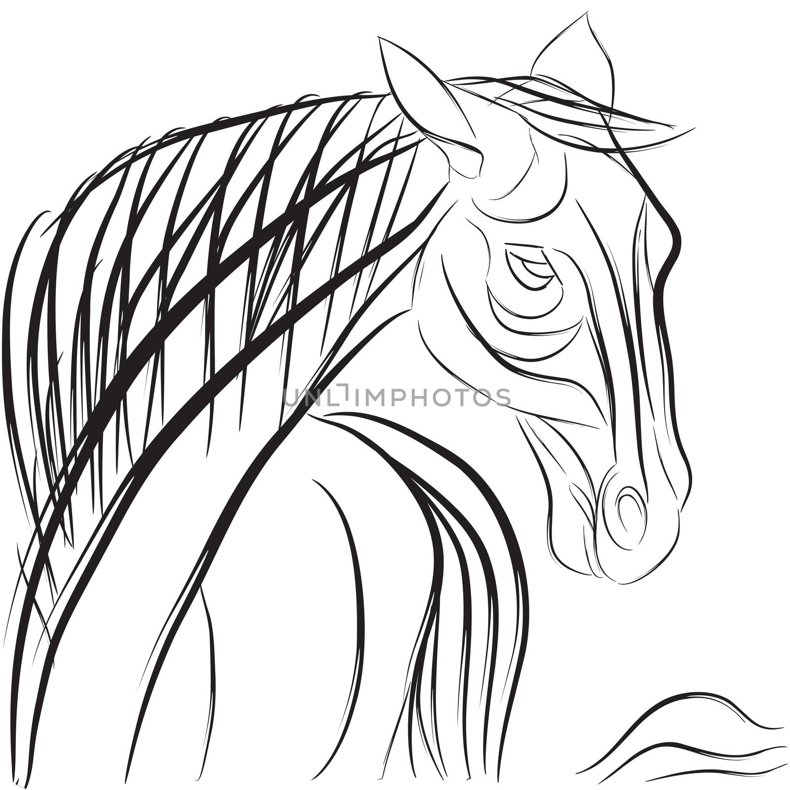 Horse head profile with mane and tail, hand drawn sketch composition isolated on white