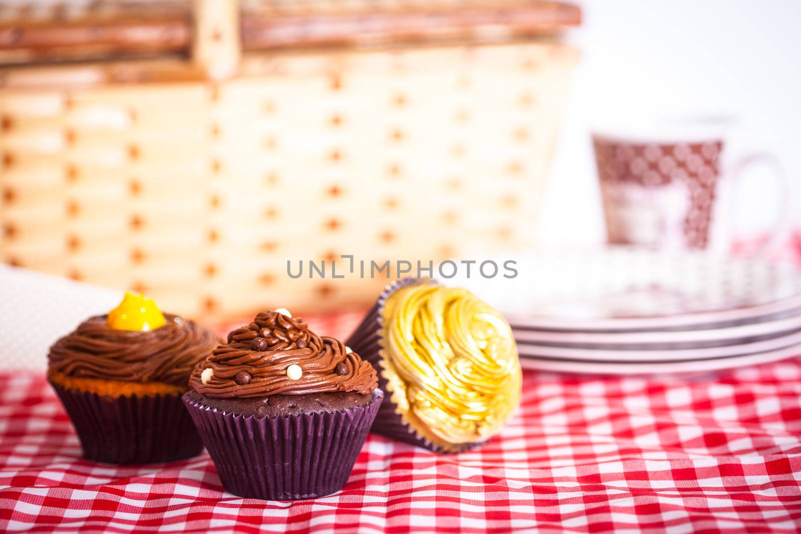 A picnic with delicious cupcakes and a beautiful picnic basket!