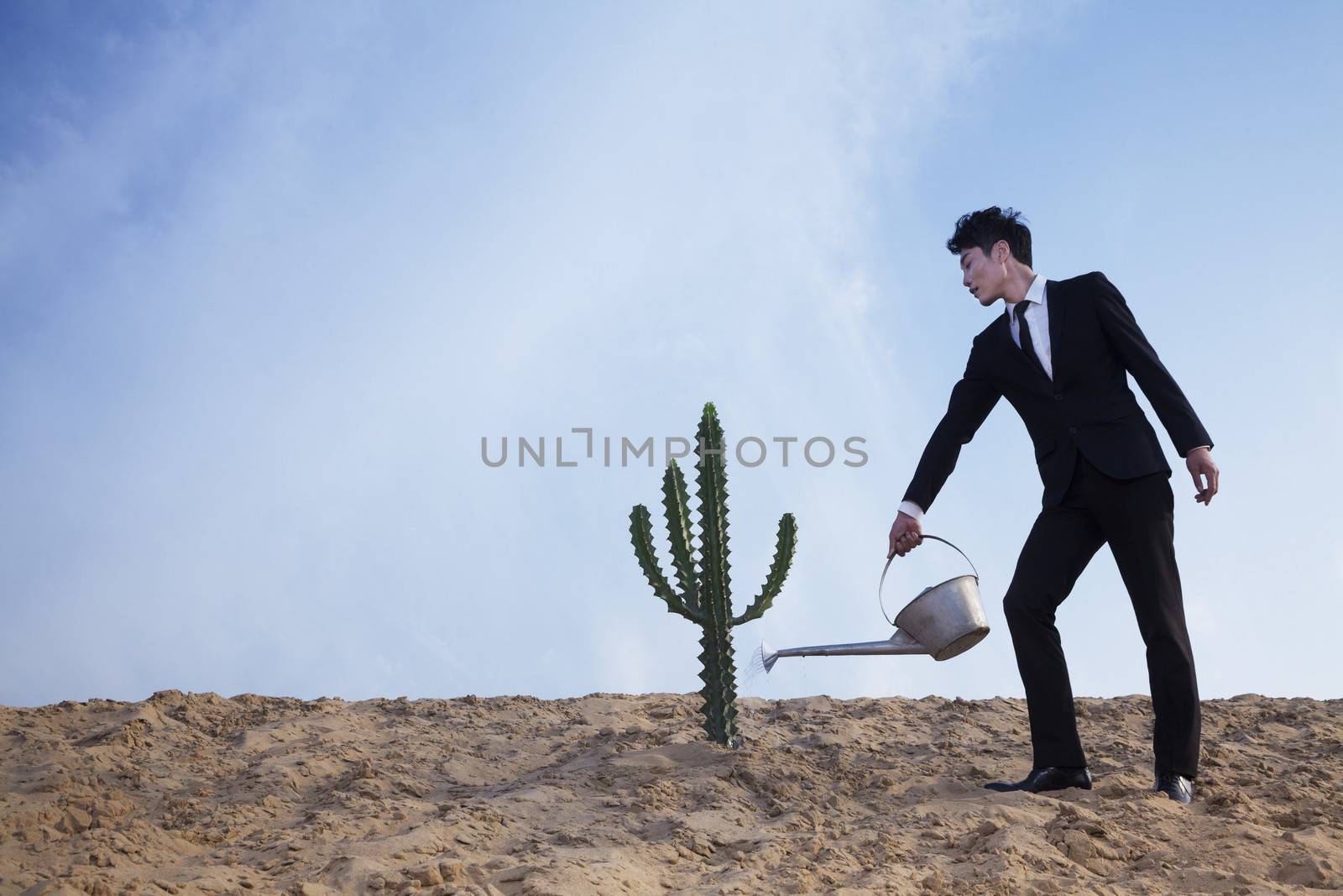 Young businessman watering a cactus in the desert by XiXinXing