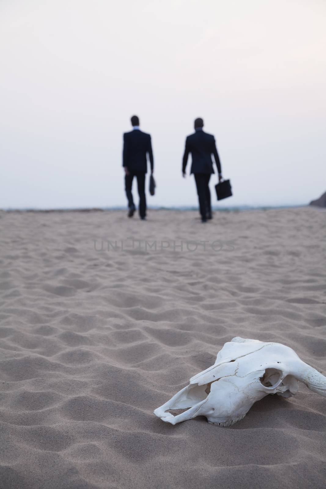 Two businessmen walking away from an animal skull in the middle of the desert