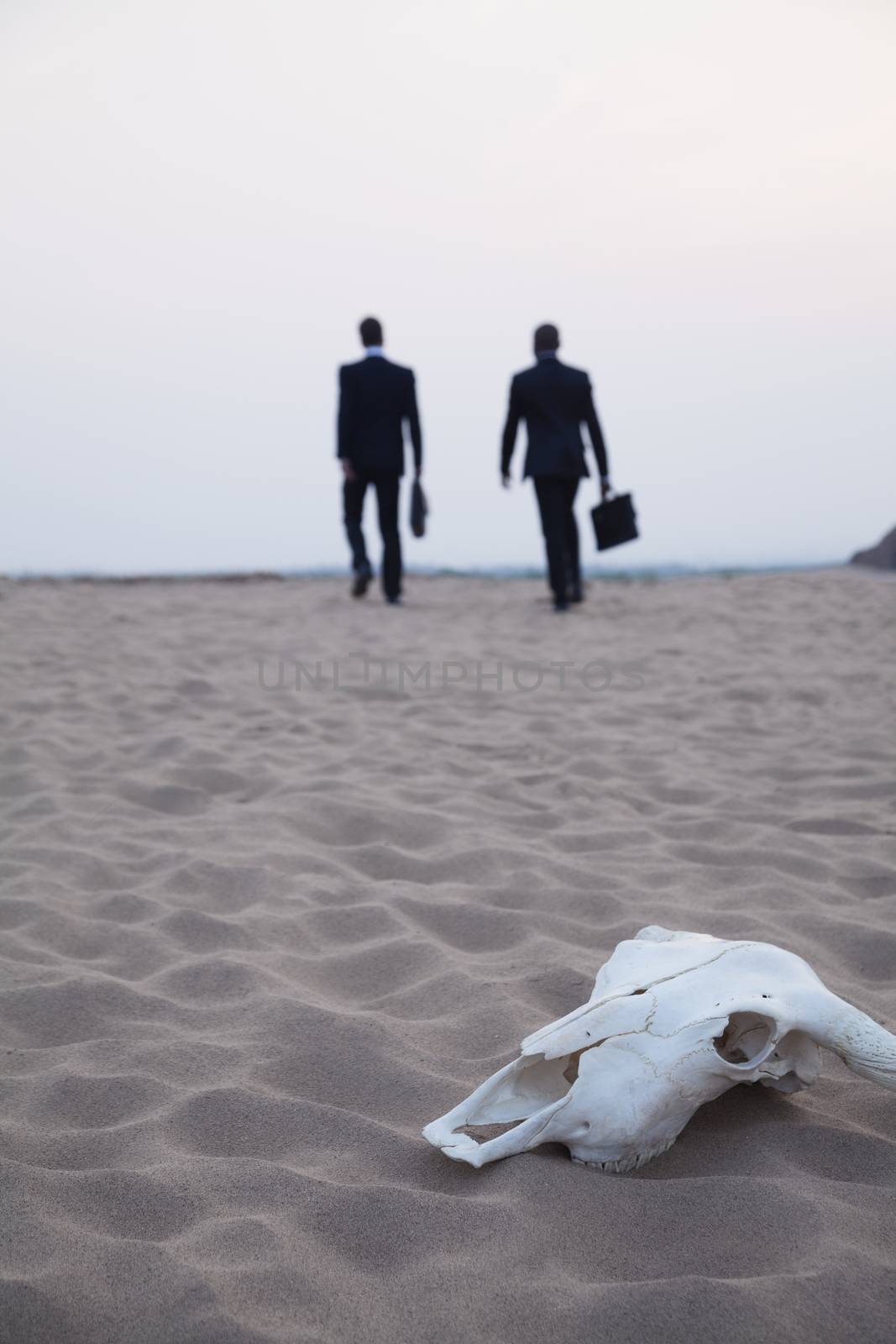 Two businessmen walking away from an animal skull in the middle of the desert