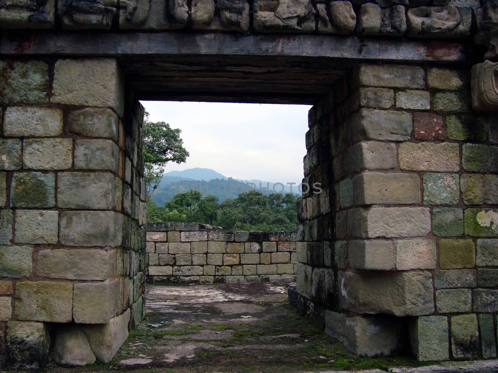 landscape of mayan ruins in copan ruinas, honduras by ftlaudgirl