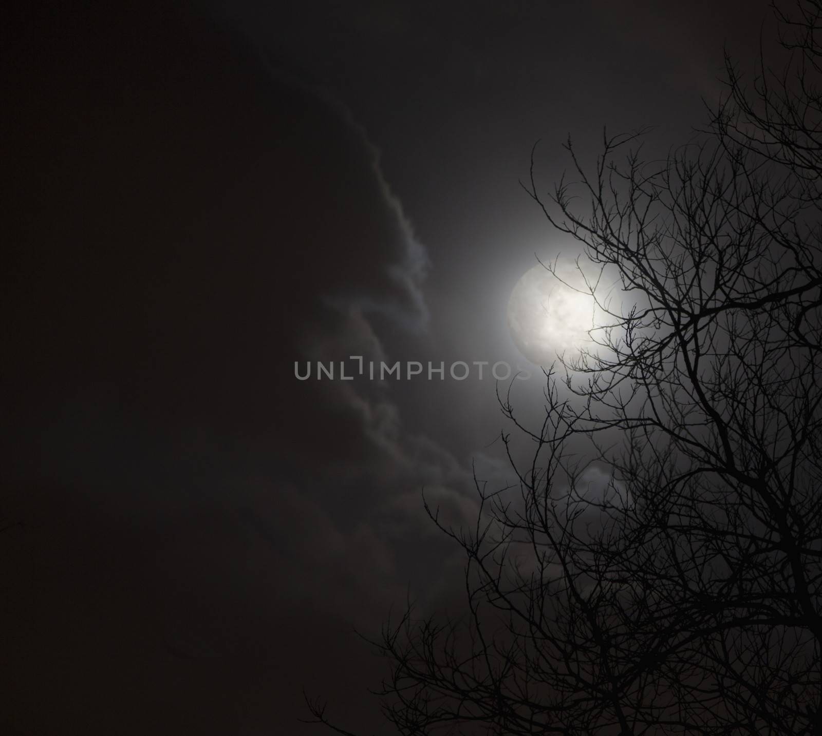 Full moon in night sky with clouds and silhouette of trees. by XiXinXing