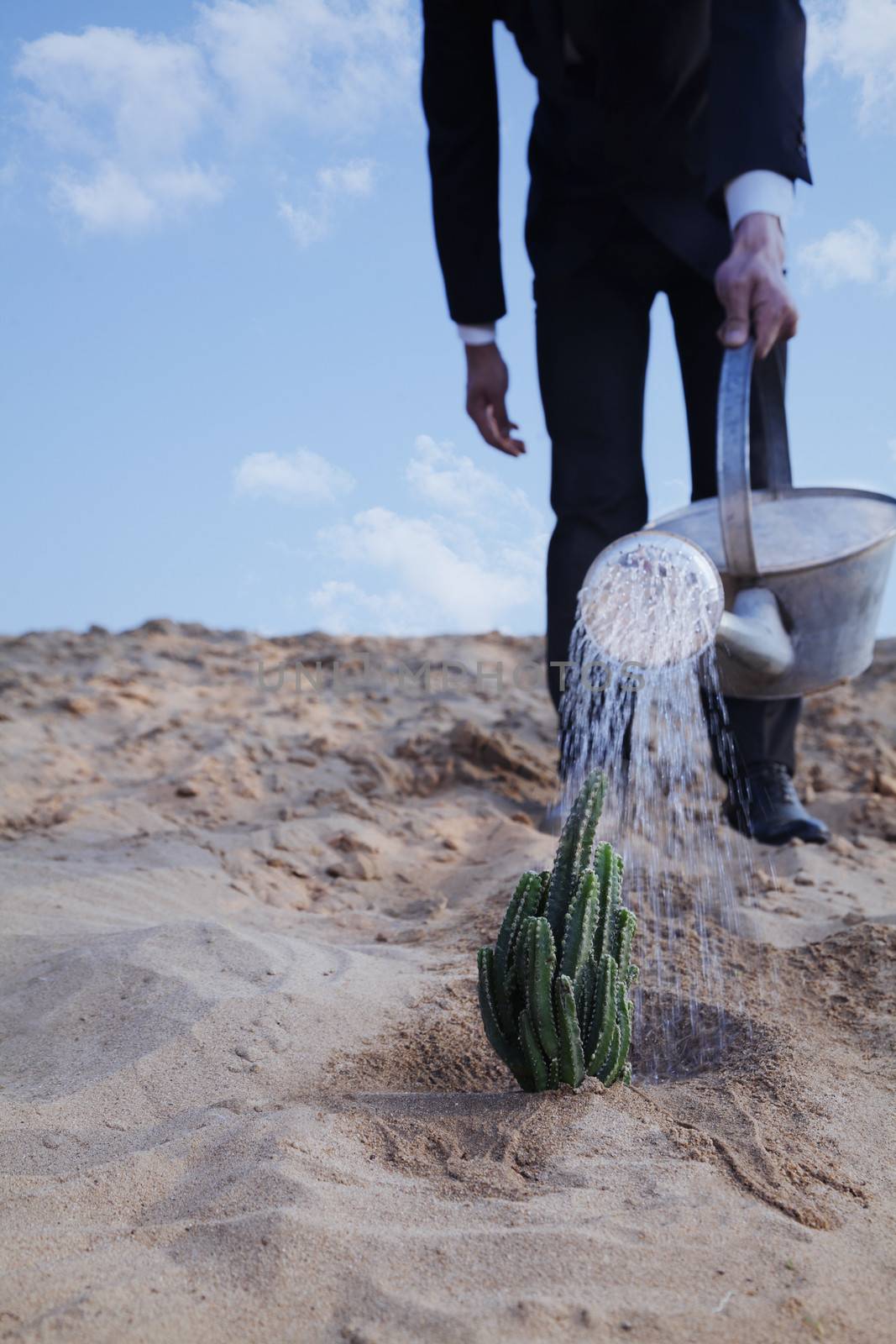 Close-up of young businessman watering a cactus in the desert