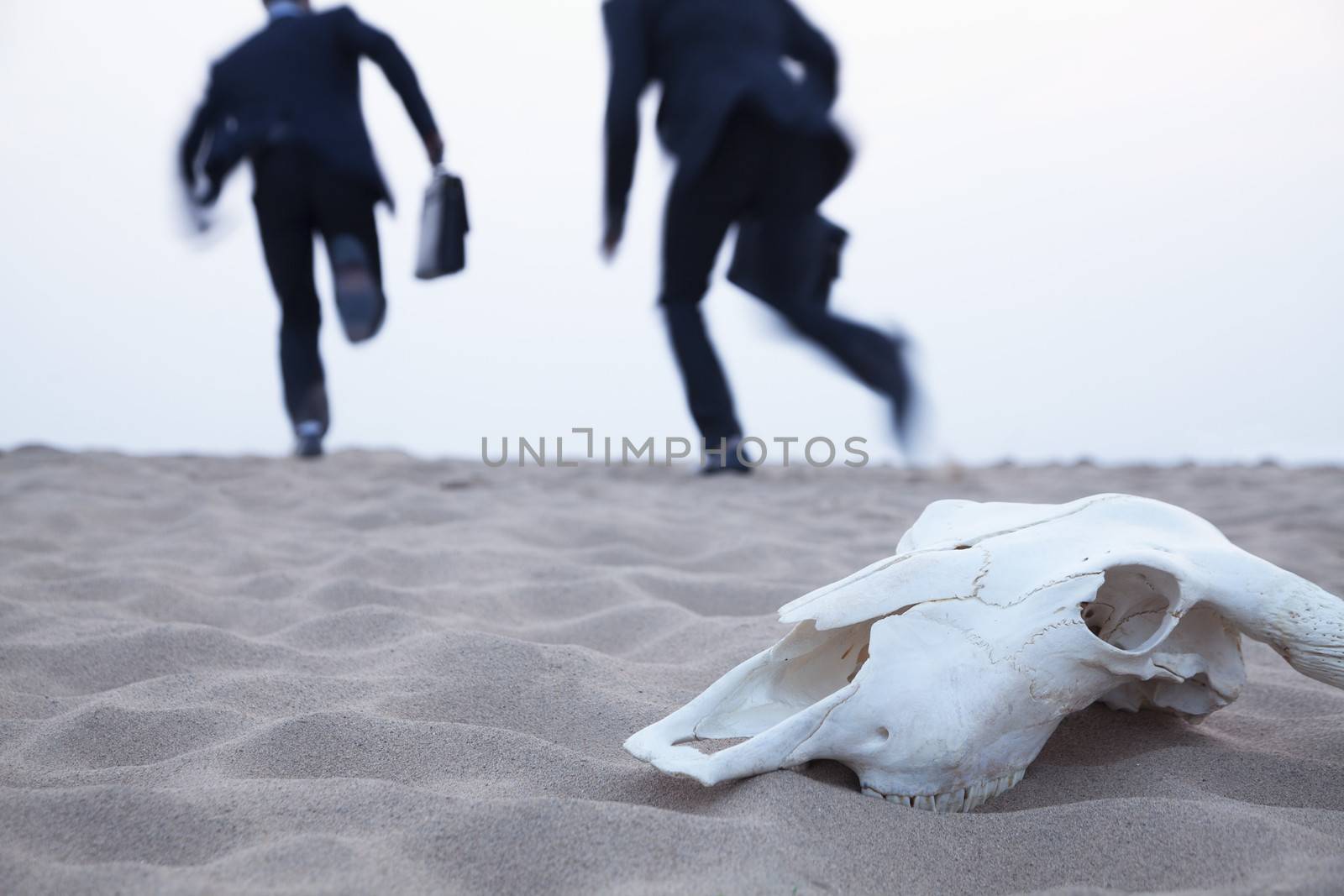 Two businessmen running away from an animal skull in the middle of the desert by XiXinXing