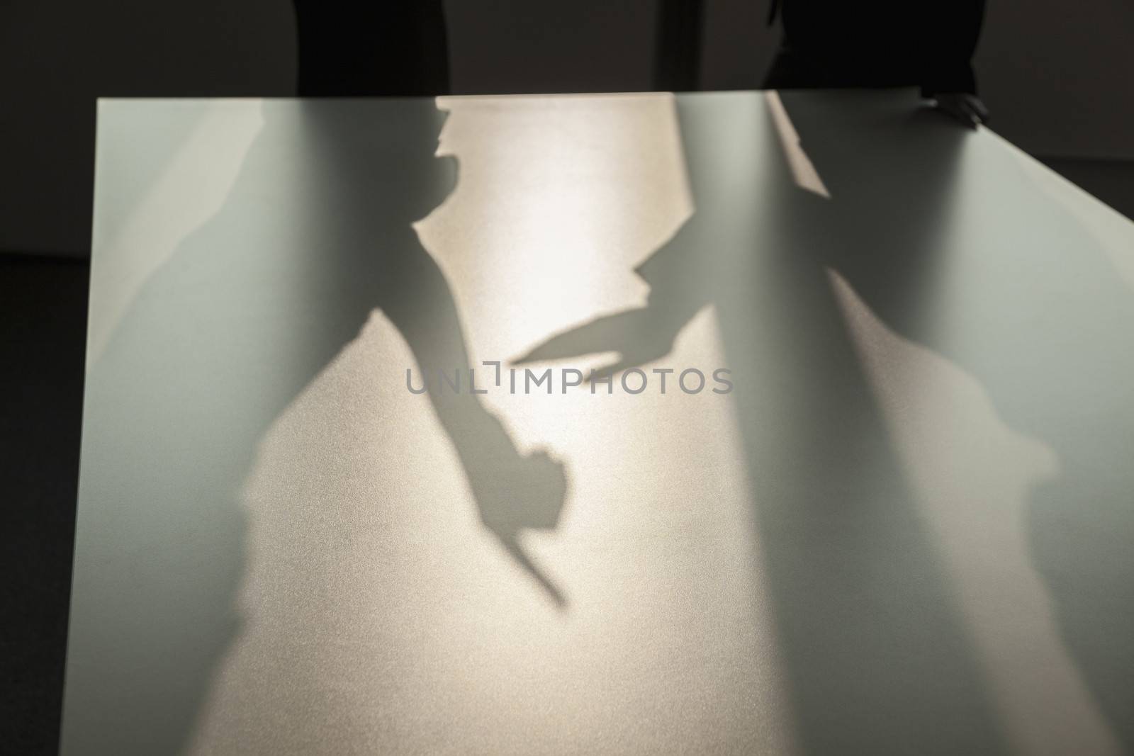 Shadow of two business people arguing and gesturing on the floor of the office by XiXinXing