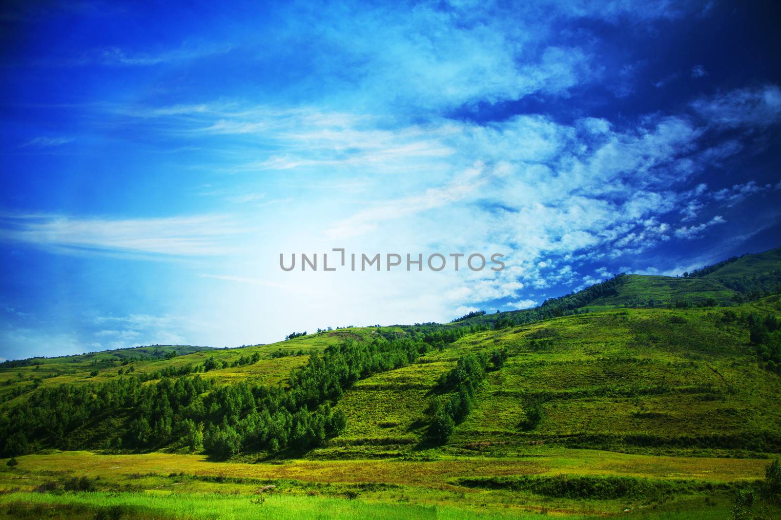 Lush, green landscape with blue sky and clouds.