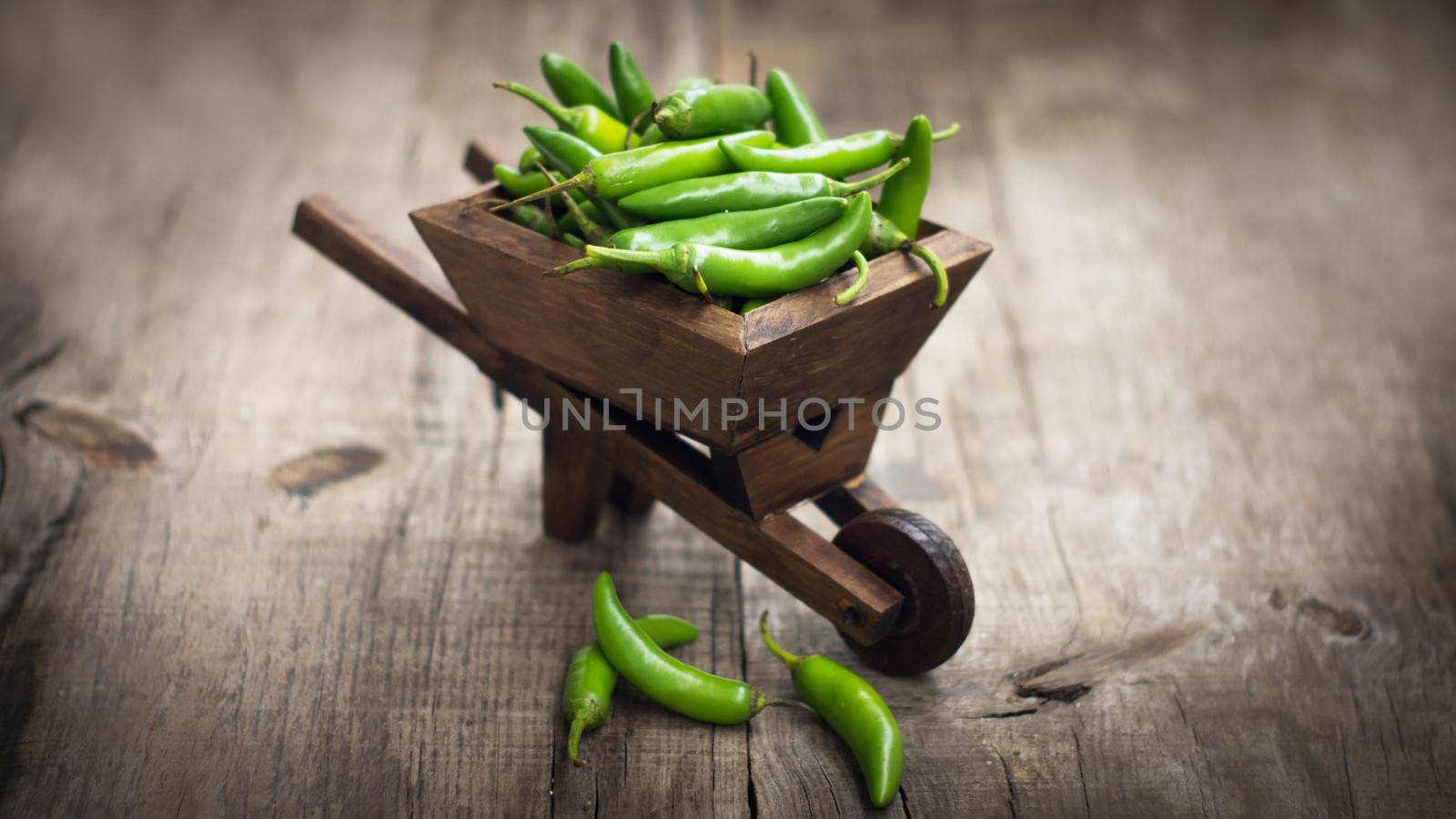 Green Jalapenos chili pepper in a miniature wheelbarrow on wood background