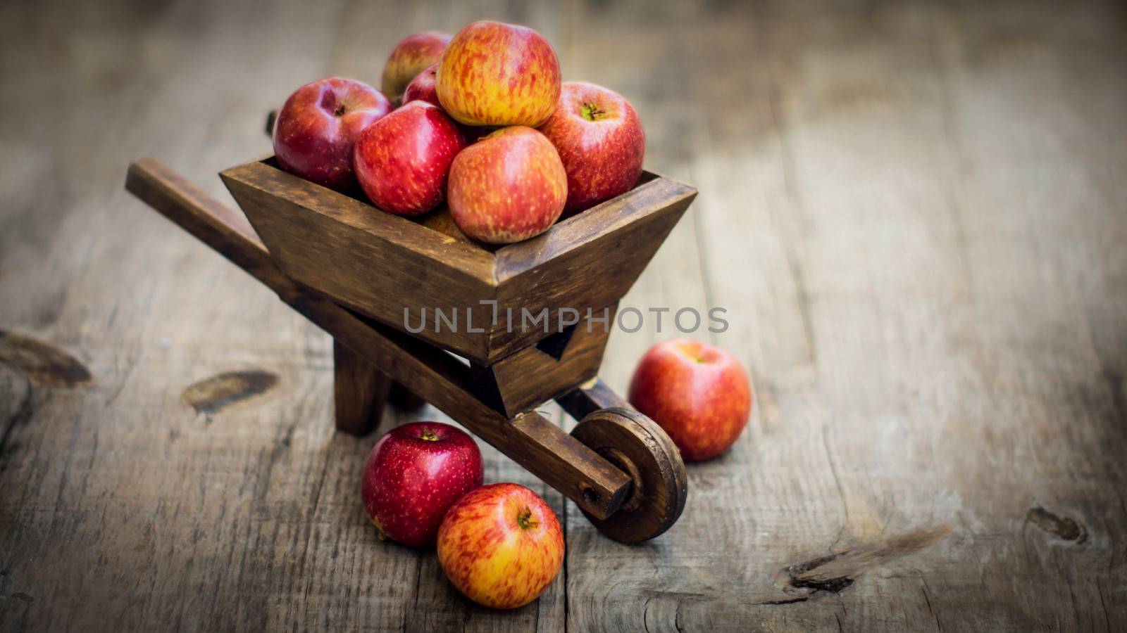Red Apples in a miniature wheelbarrow on wood background