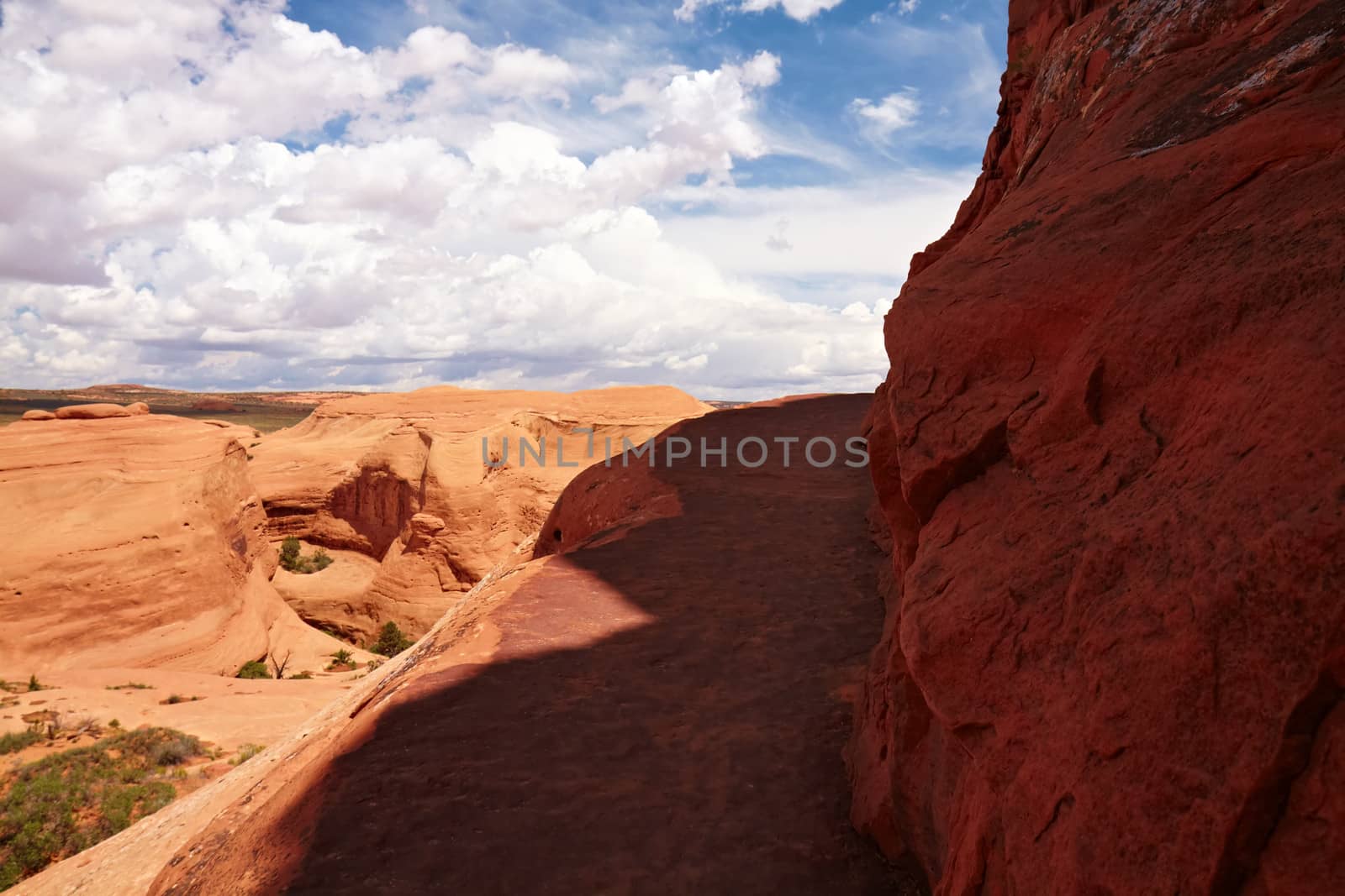 Red Desert by LoonChild