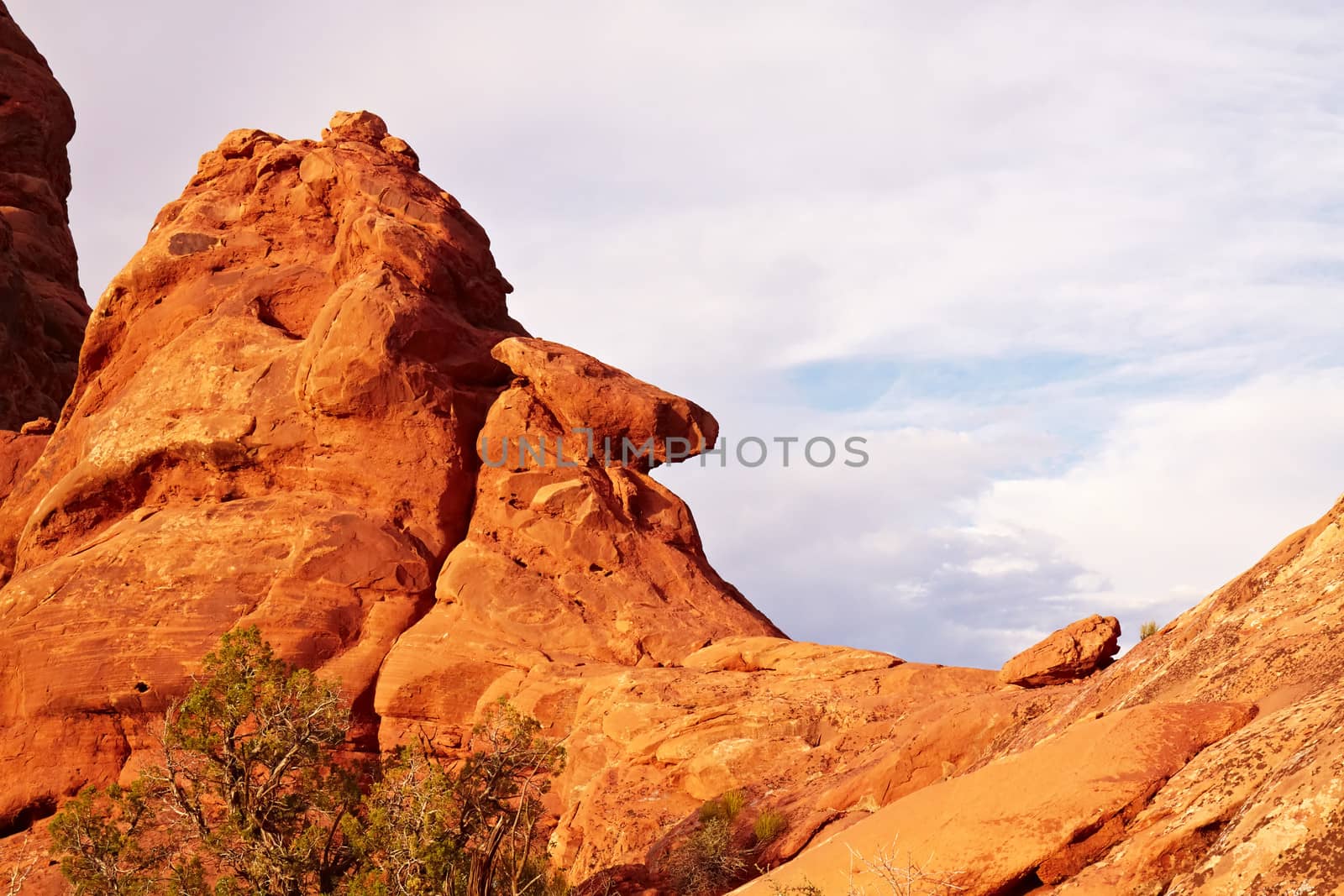 Red Desert, Arches National Park, Utah, USA