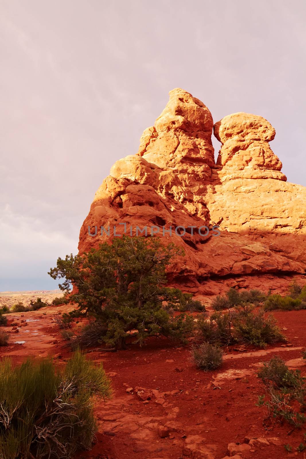 Red Desert at Sunset, Arches National Park, Utah, USA