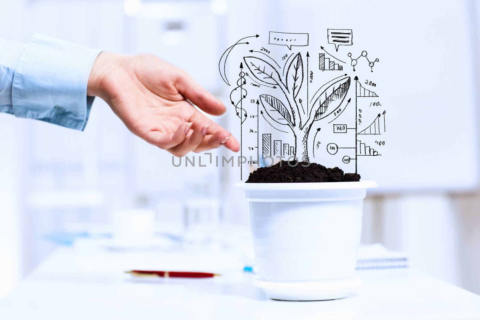 Close-up image of human hand and pot with money tree