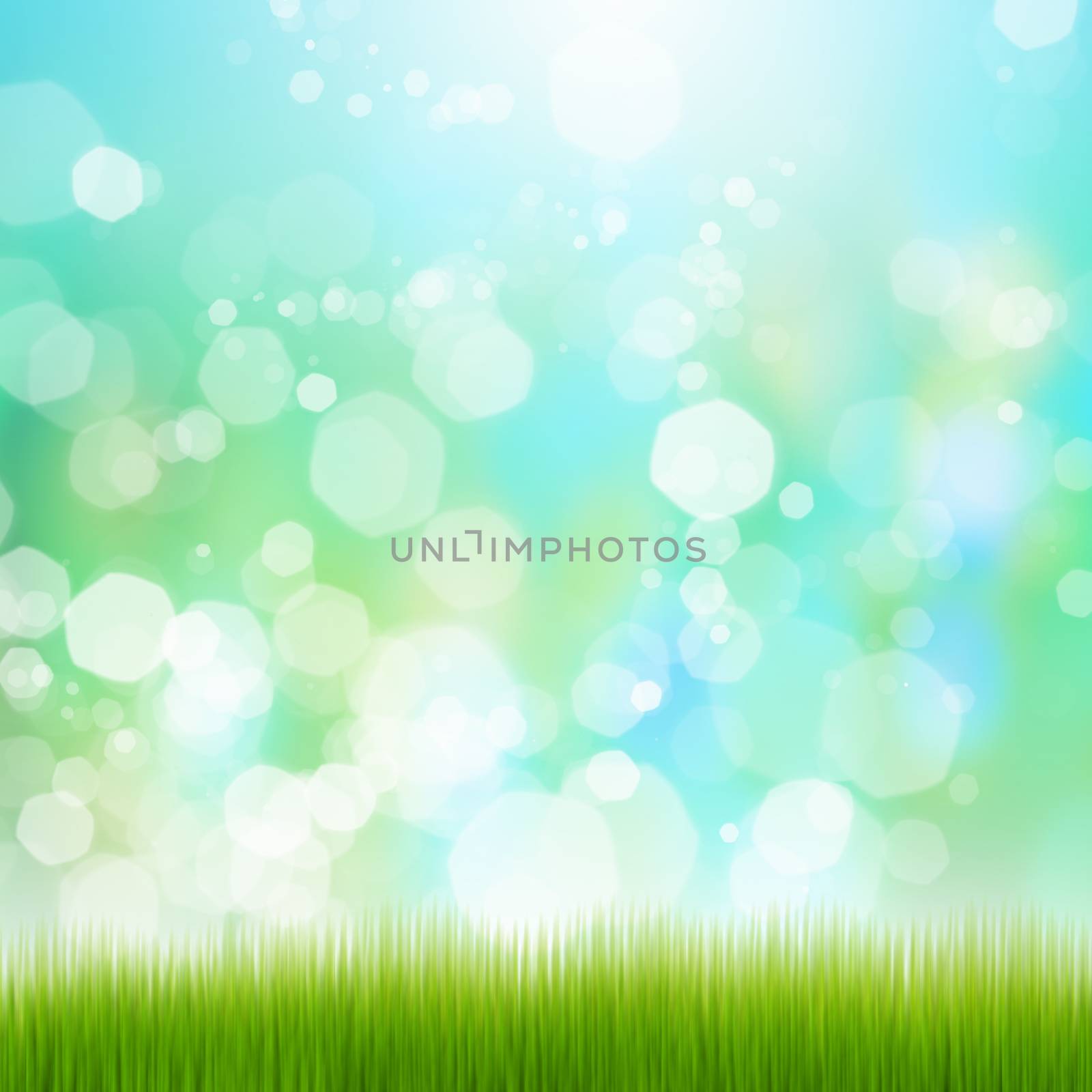 Green summer meadow with sun glare and rays