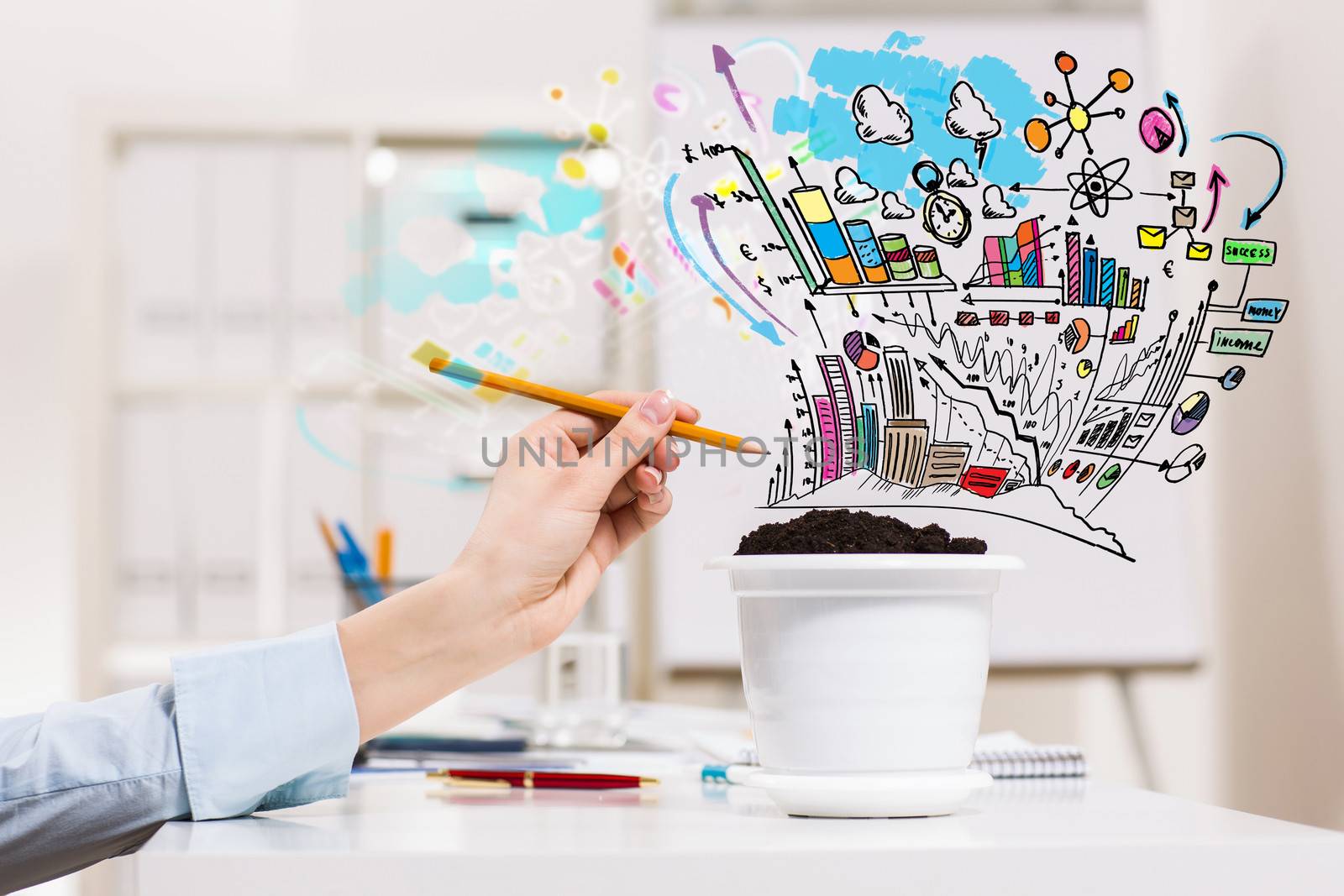 Close-up image of human hand and pot with money tree