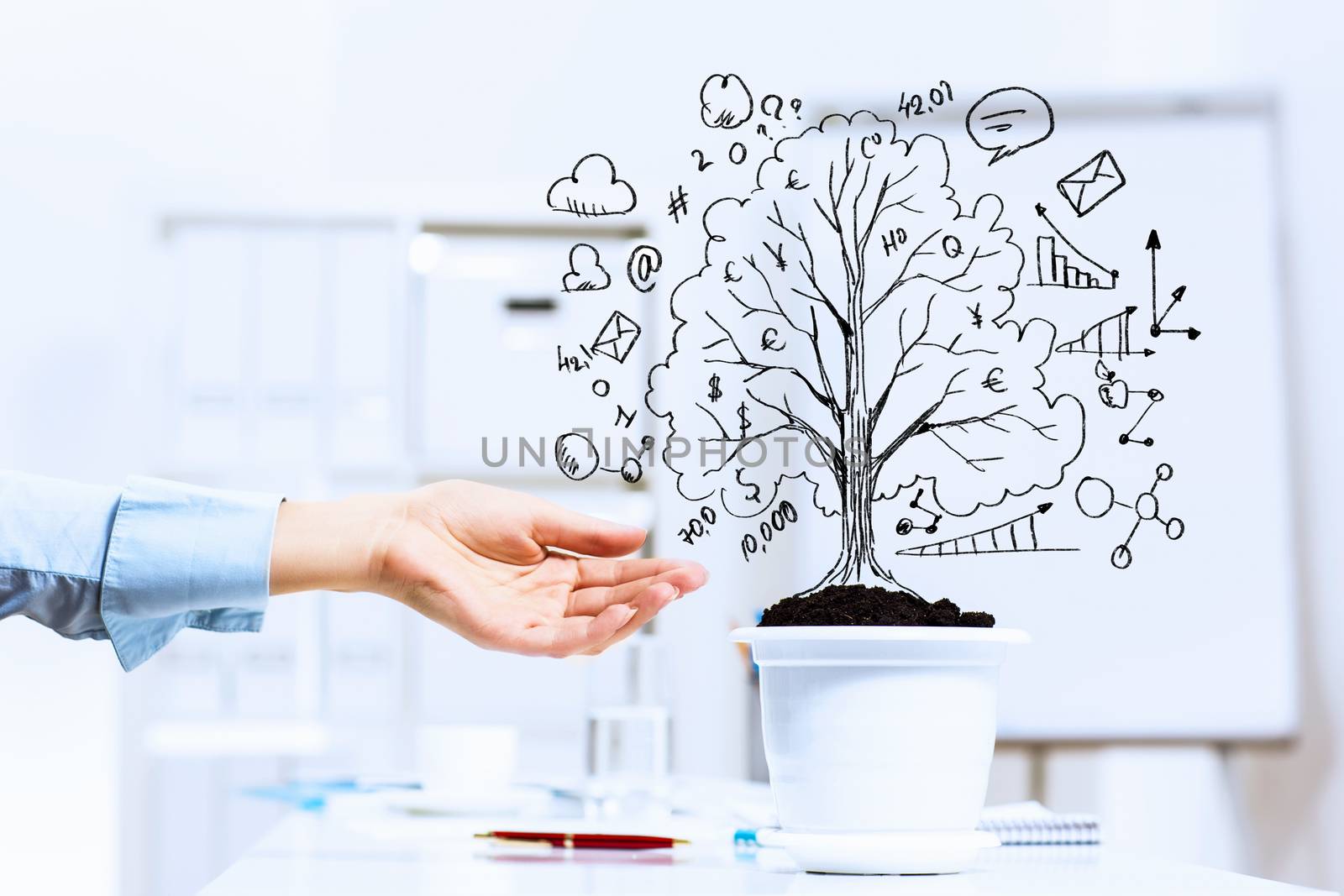 Close-up image of human hand and pot with money tree