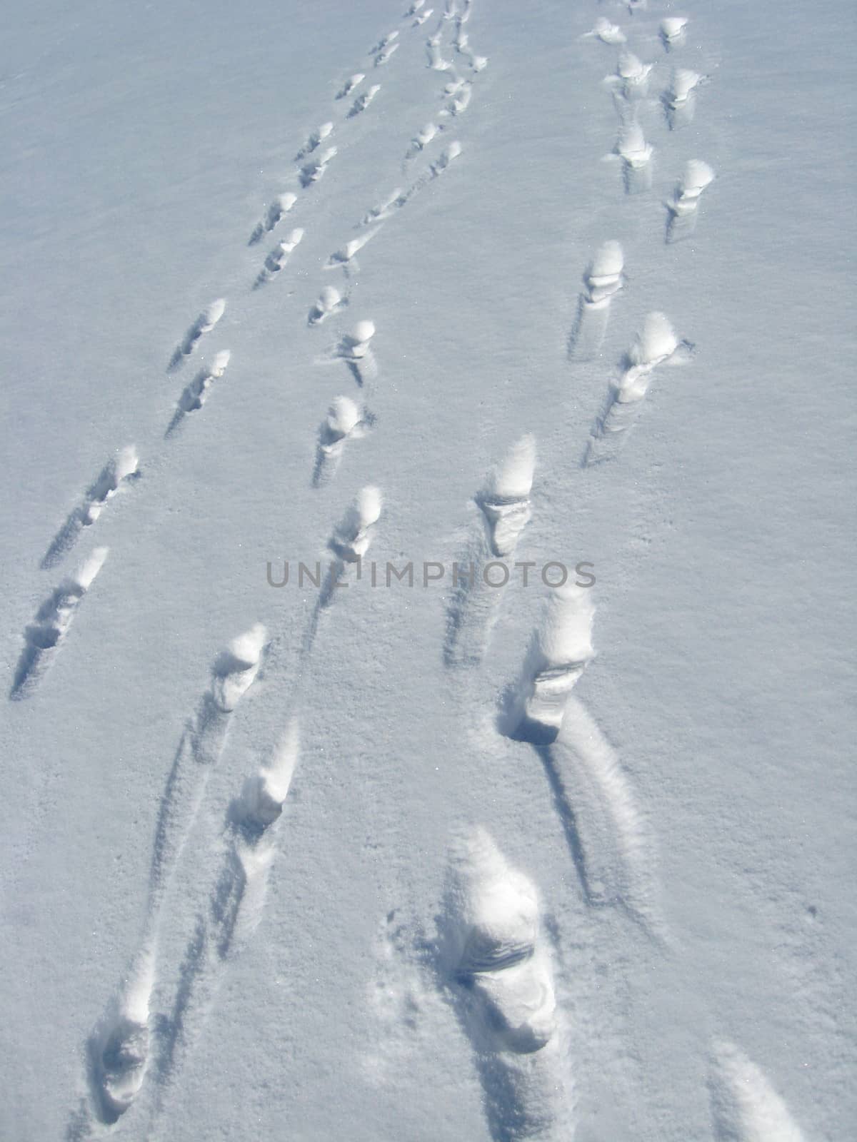 Outgoing people and traces on a snow not a background of the blue sky