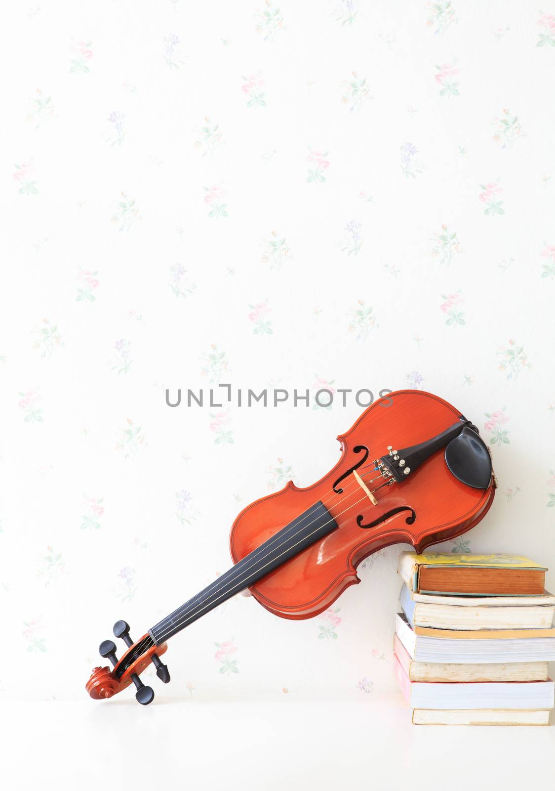 violin