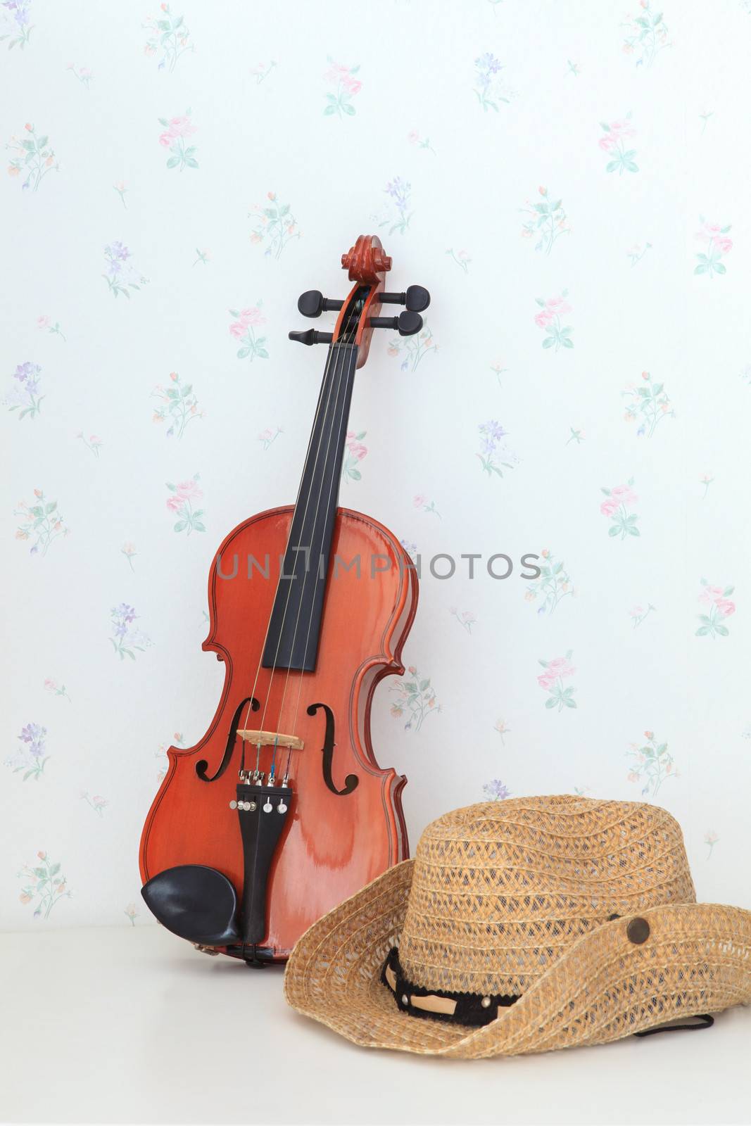 violin