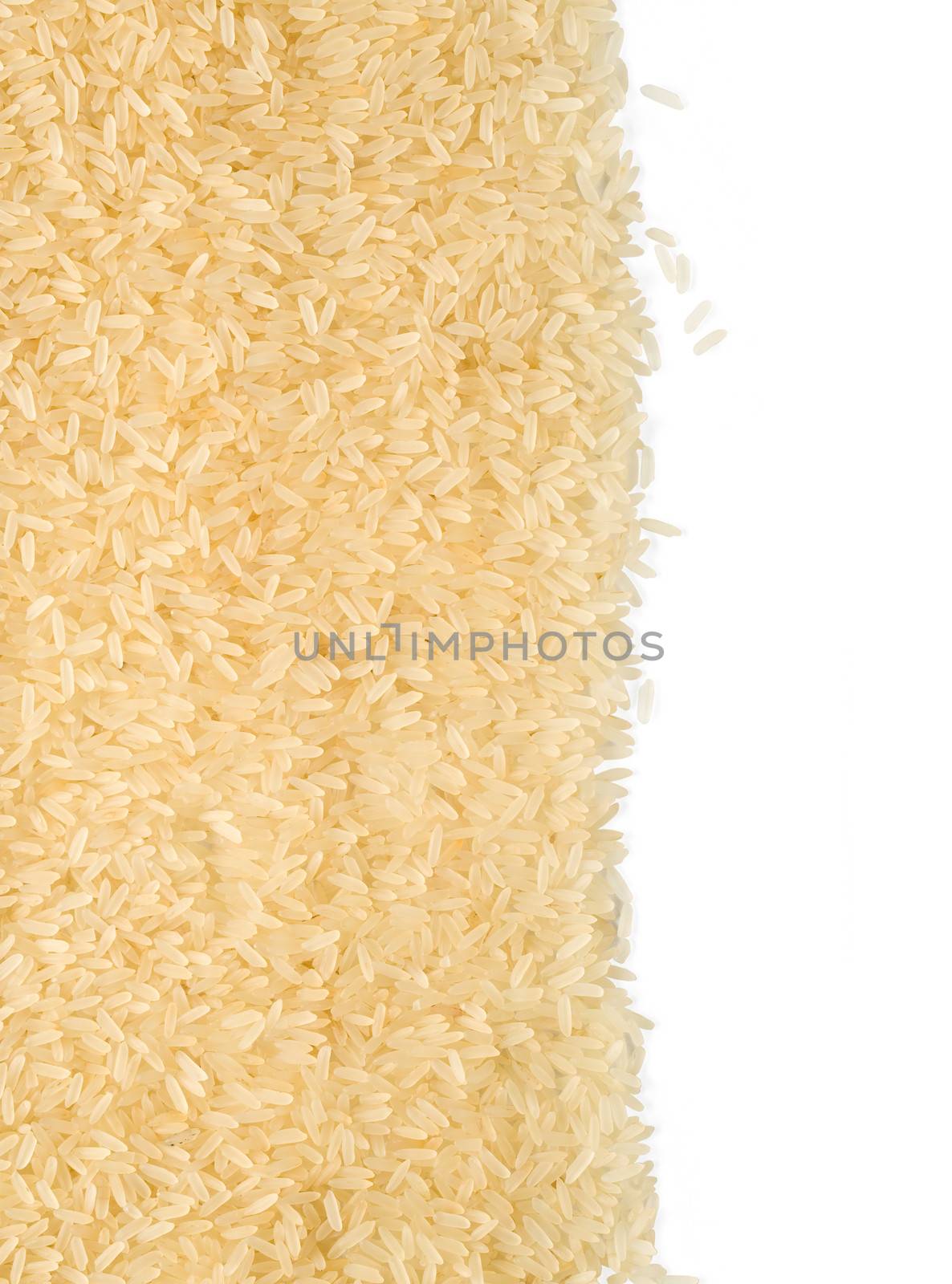 grains of rice by kornienko