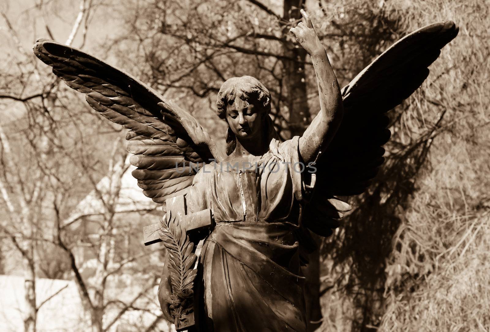 Old Angel statue in sepia by FotoFrank