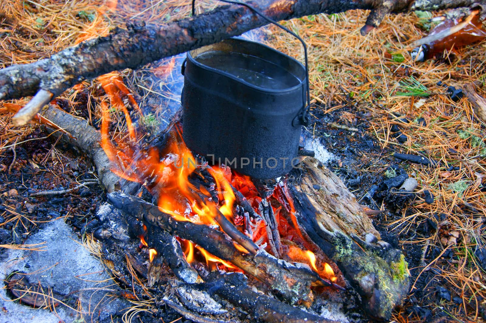 Prepare food on campfires by cobol1964