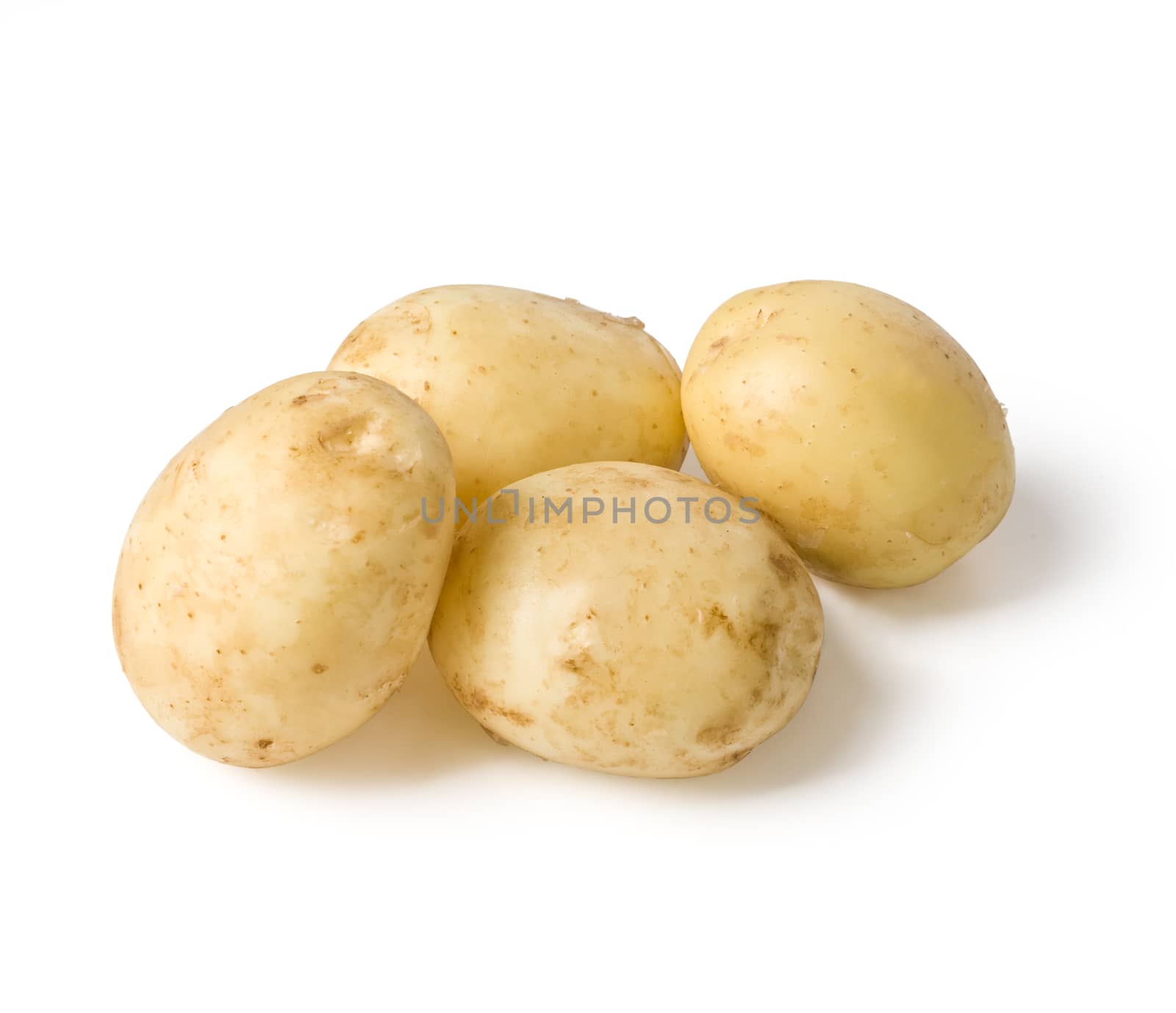 New potato isolated on white background close up