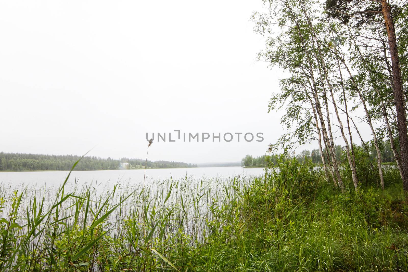 Northern landscape with forest and lakes at cloudy weather