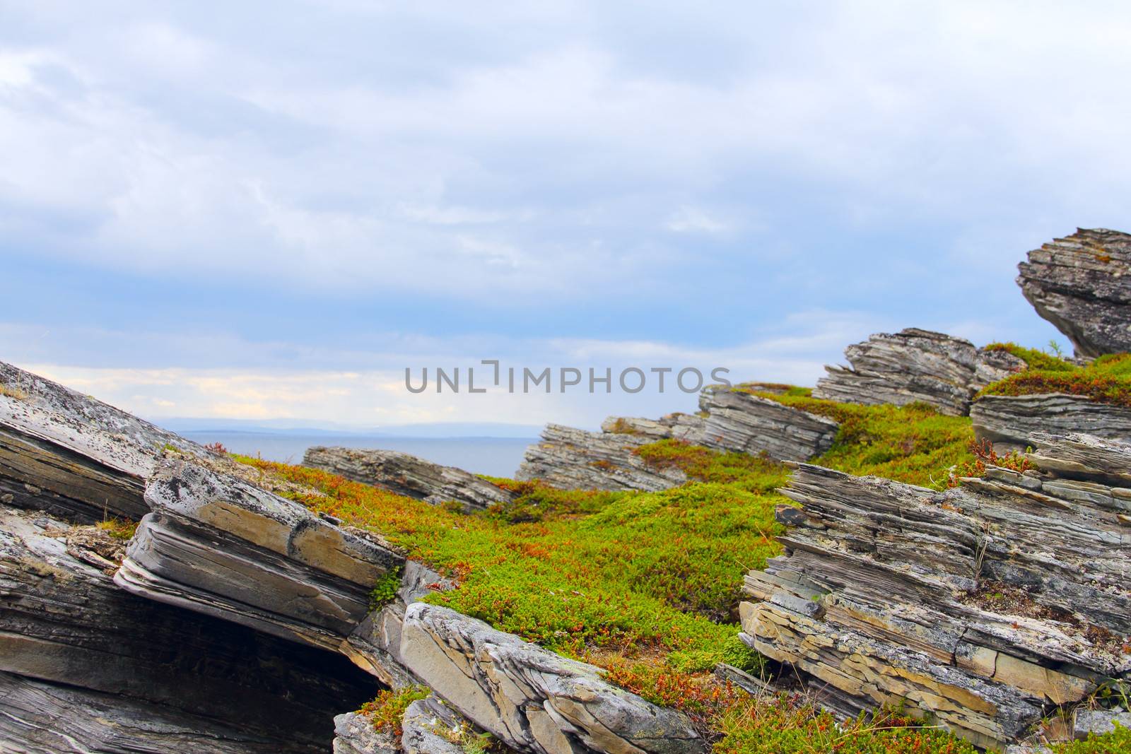 Northern Norwegian landscape with fjords, mountains and shore with moss