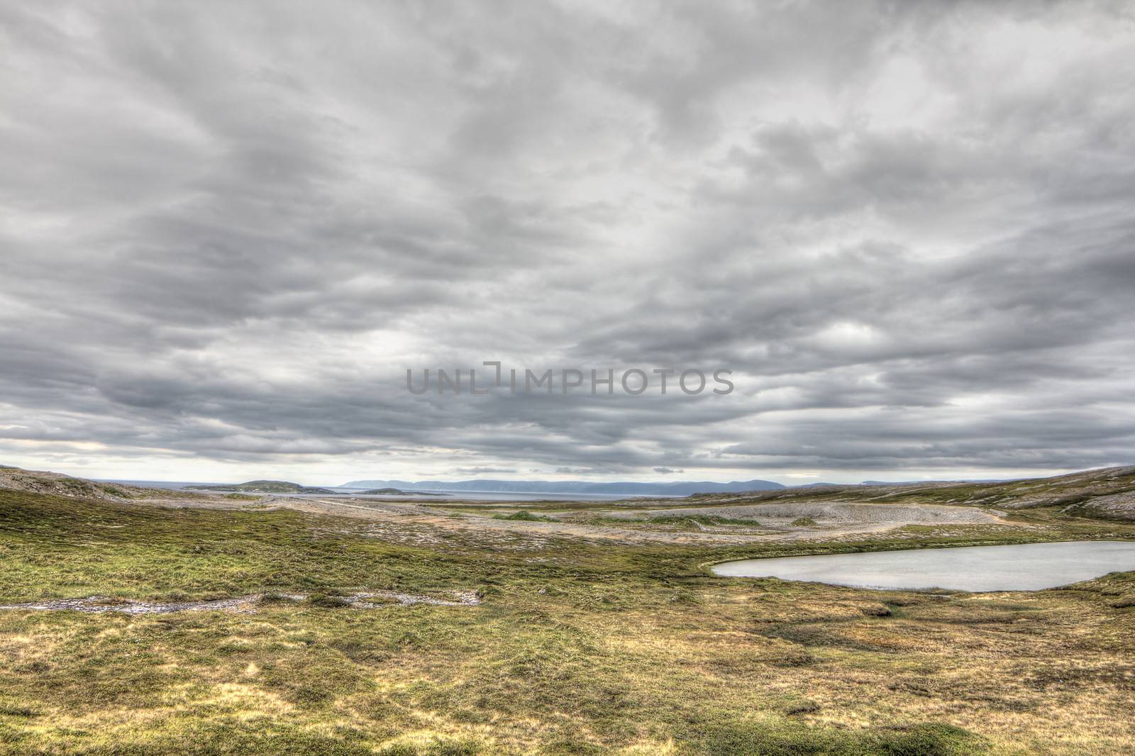 Northern Norwegian landscape with fjords, mountains and shore with moss