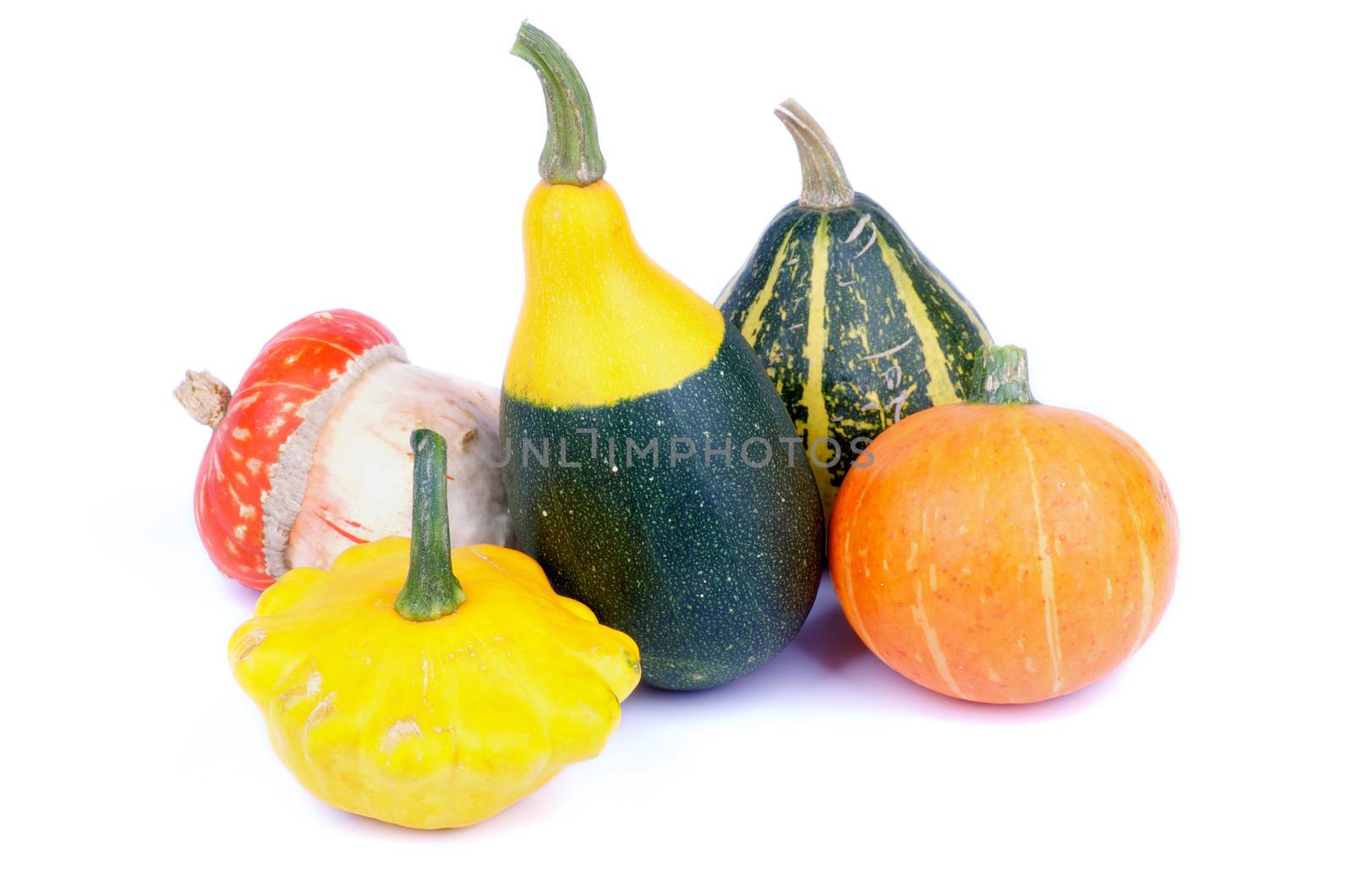 Arrangement of Summer and Winter Miniature Squash, Custard Marrow and Pumpkin isolated on white background