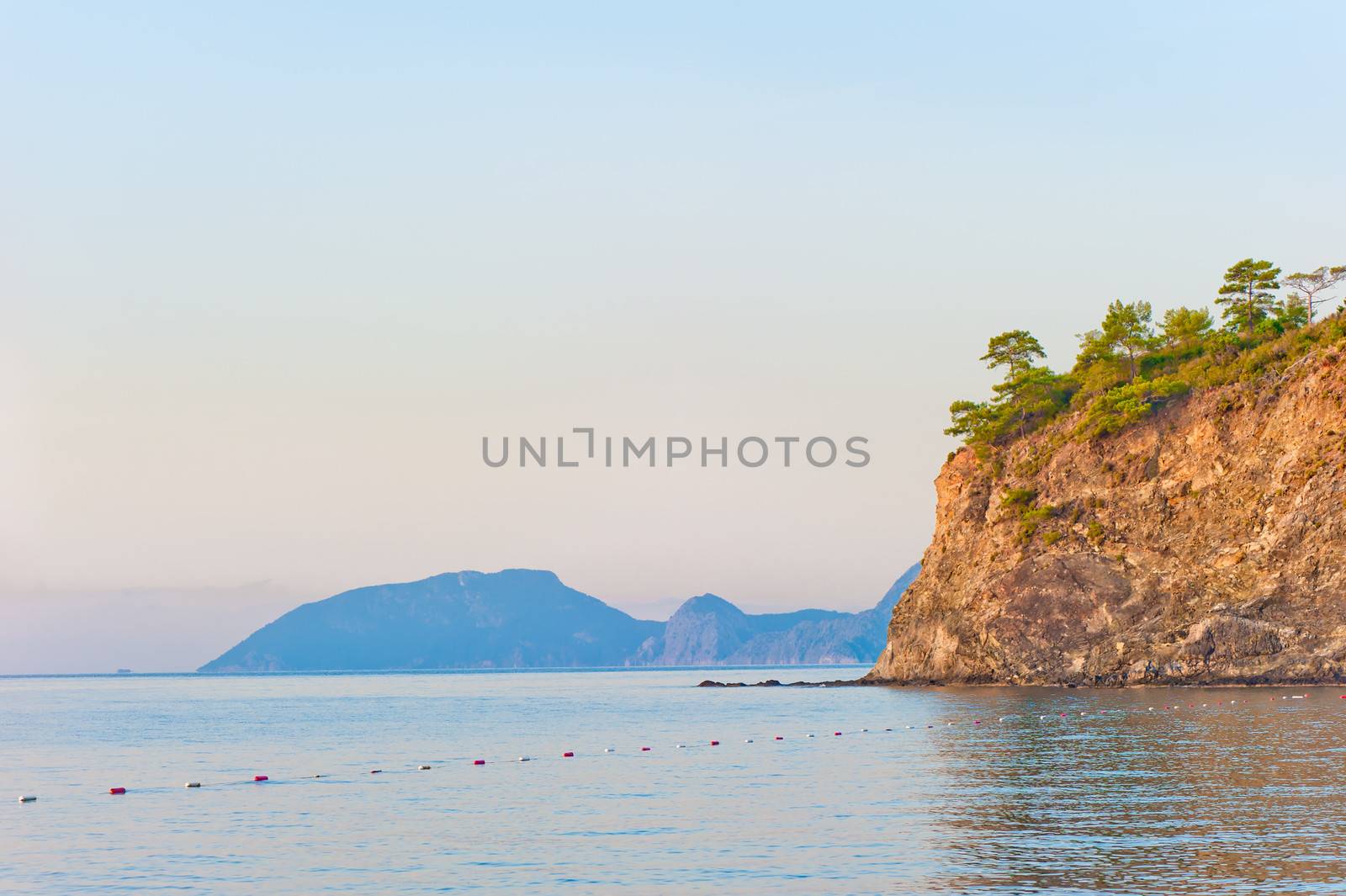 growing trees on a steep rocky shore at the calm sea