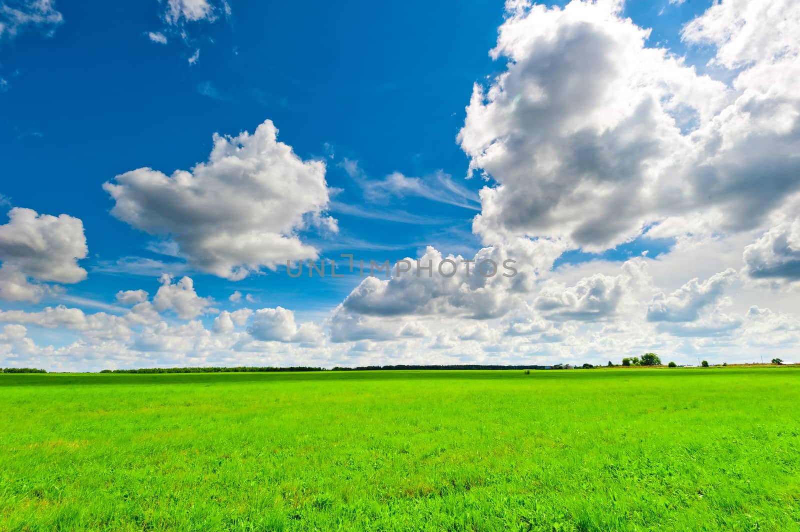 beautiful clouds over the green field on a sunny day