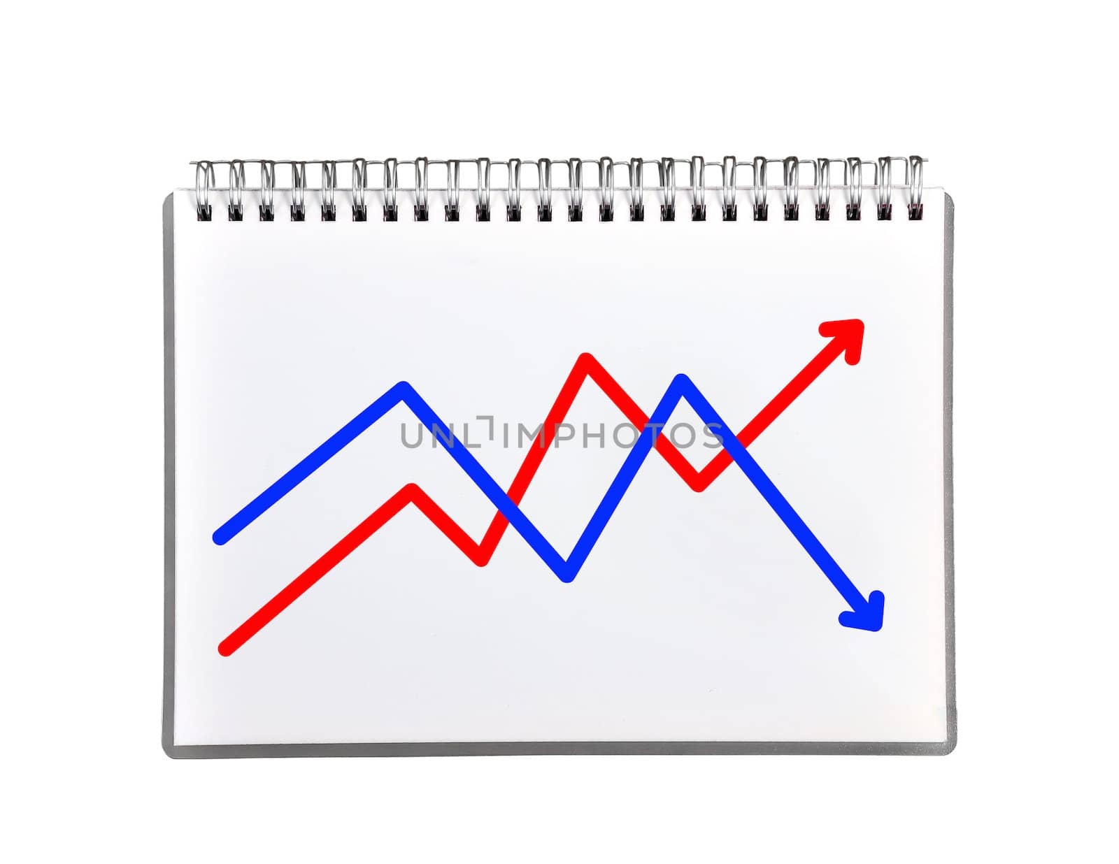 graph in notebook by vetkit