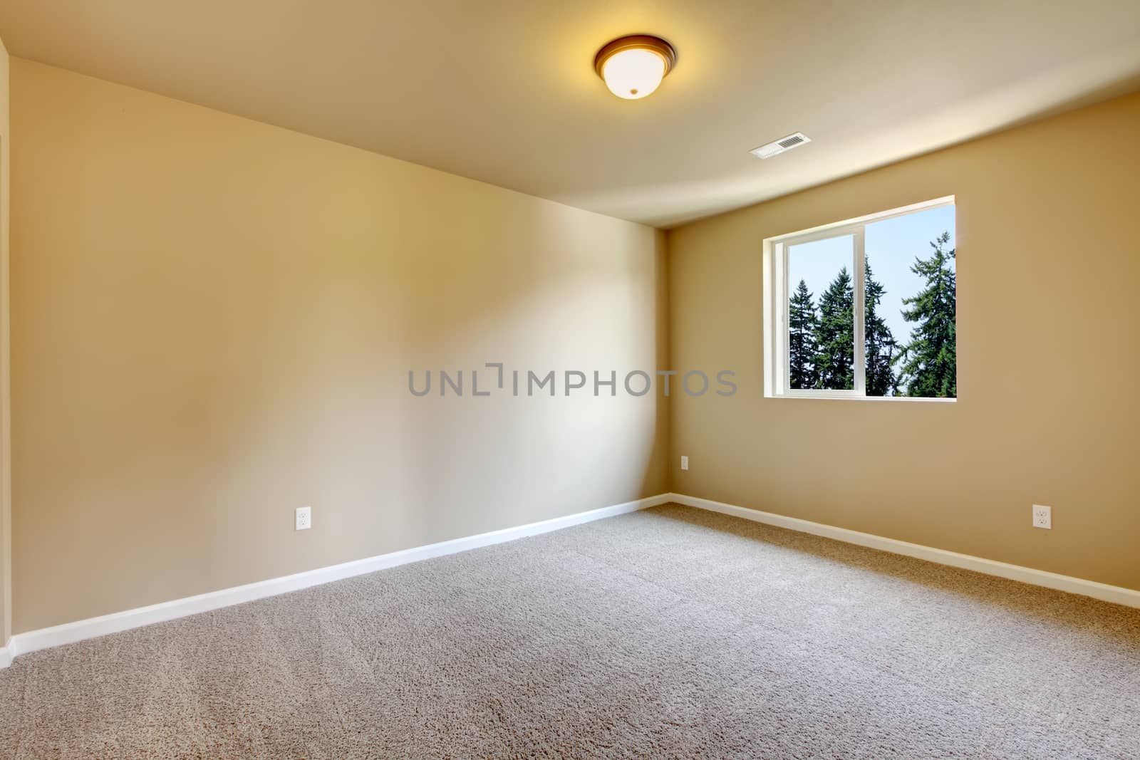 New empty room with beige carpet.. New house development in USA.