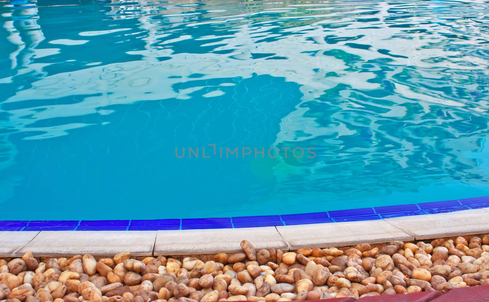 Luxury Resort Swimming Pool
high angle on curved edge of a luxury resort swimming pool